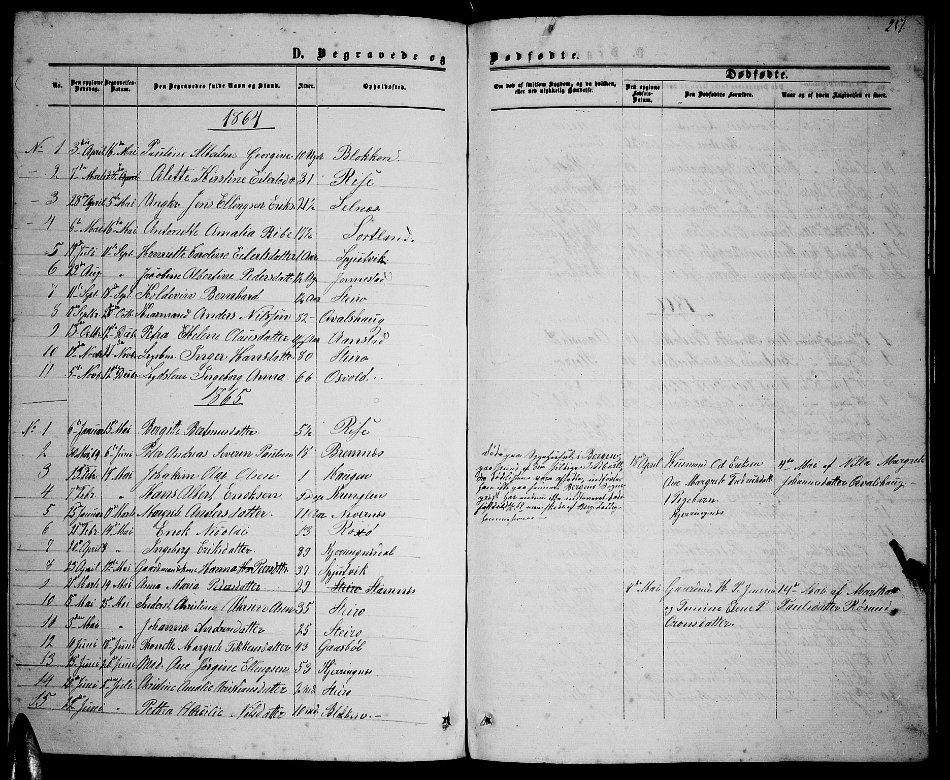 Ministerialprotokoller, klokkerbøker og fødselsregistre - Nordland, SAT/A-1459/895/L1381: Parish register (copy) no. 895C03, 1864-1885, p. 251