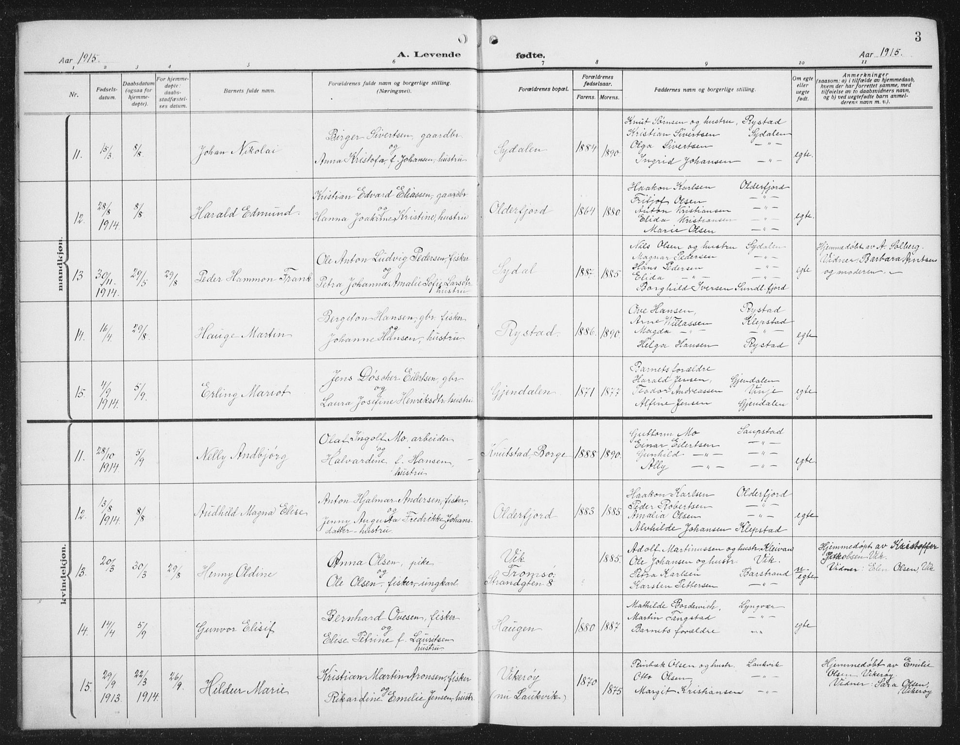 Ministerialprotokoller, klokkerbøker og fødselsregistre - Nordland, AV/SAT-A-1459/876/L1106: Parish register (copy) no. 876C05, 1915-1942, p. 3