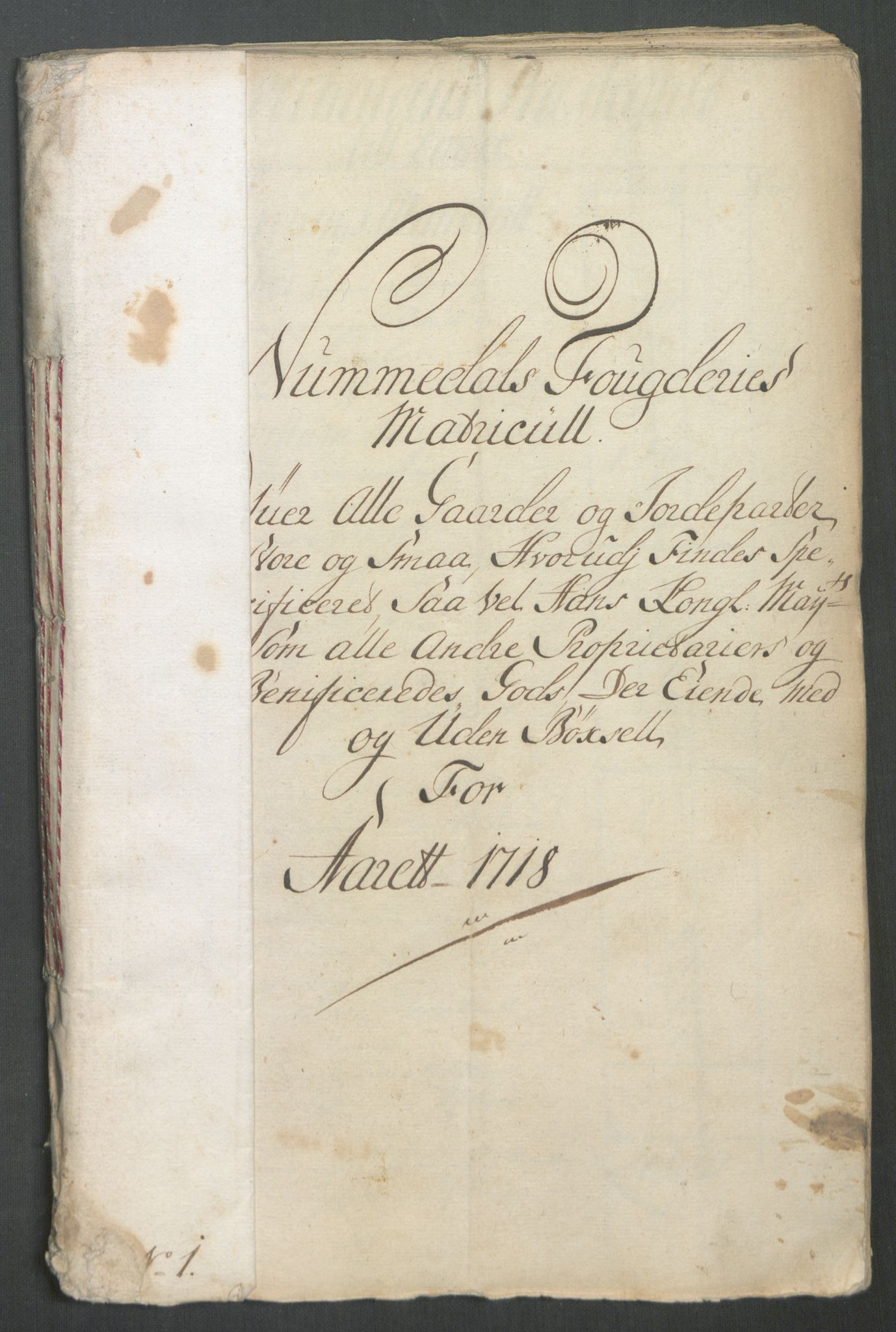 Rentekammeret inntil 1814, Reviderte regnskaper, Fogderegnskap, AV/RA-EA-4092/R64/L4439: Fogderegnskap Namdal, 1718, p. 18