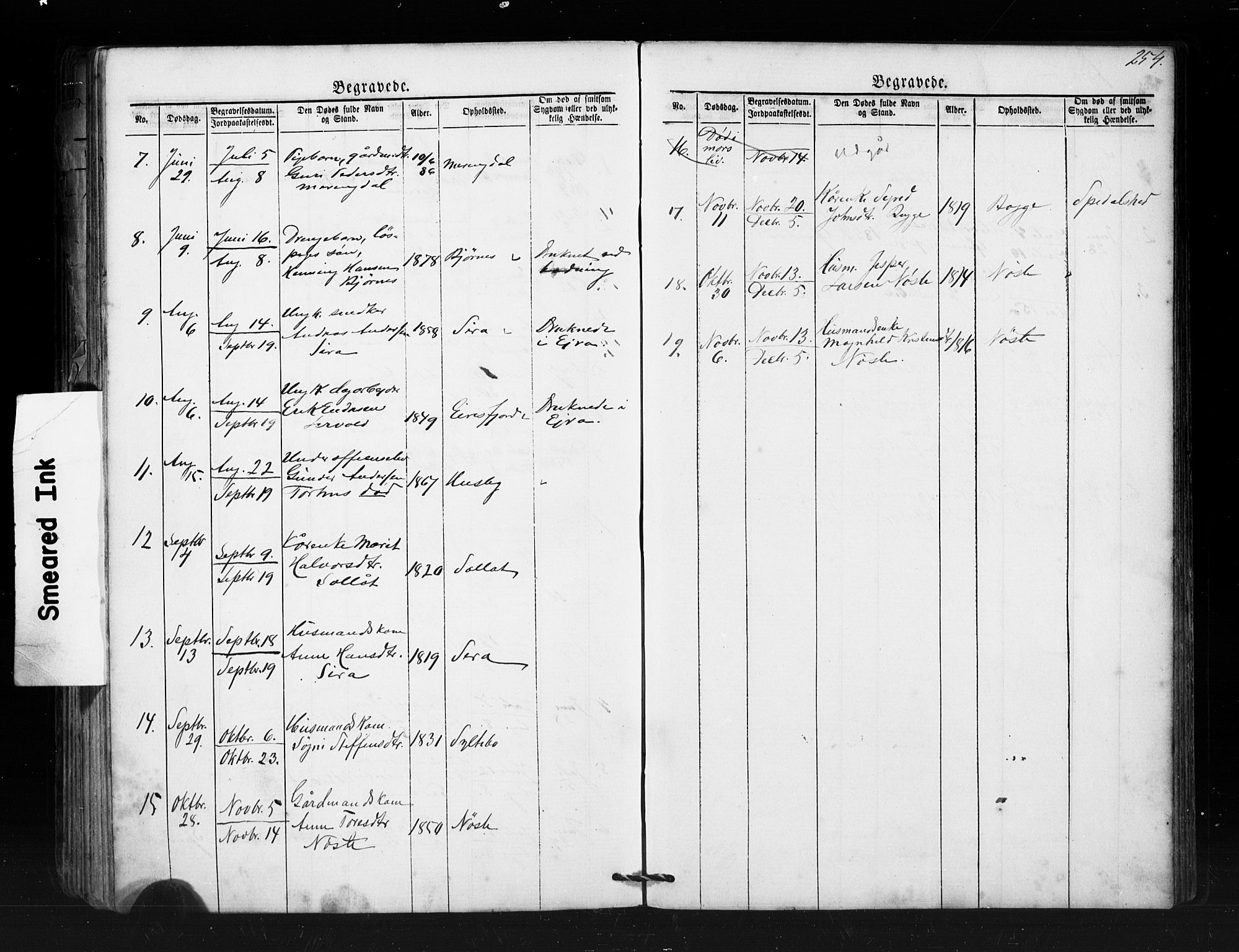 Ministerialprotokoller, klokkerbøker og fødselsregistre - Møre og Romsdal, AV/SAT-A-1454/552/L0638: Parish register (copy) no. 552C01, 1867-1902, p. 254