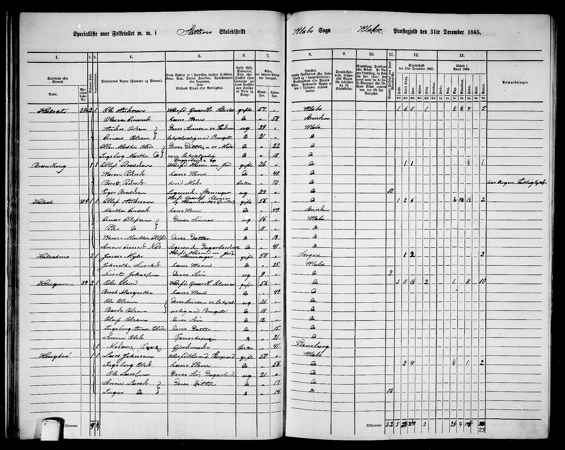 RA, 1865 census for Klæbu, 1865, p. 31