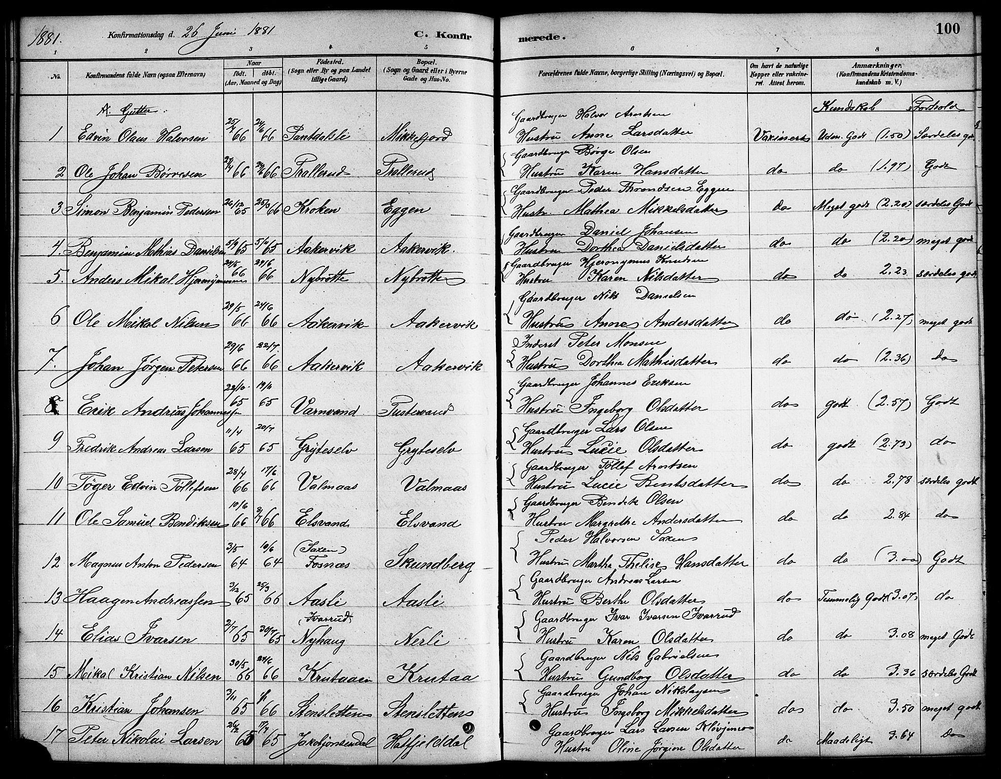Ministerialprotokoller, klokkerbøker og fødselsregistre - Nordland, SAT/A-1459/823/L0330: Parish register (copy) no. 823C02, 1879-1916, p. 100