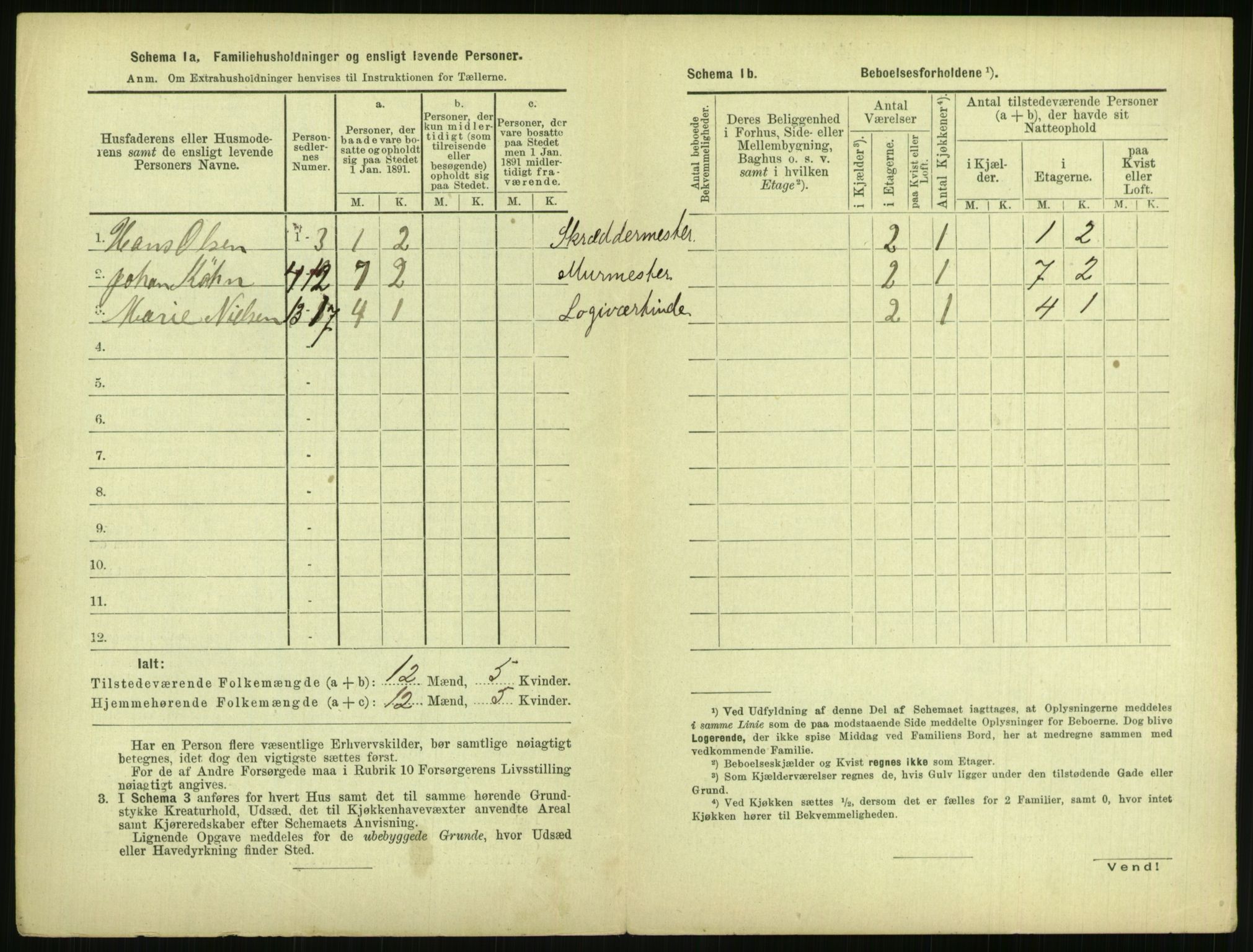 RA, 1891 census for 0806 Skien, 1891, p. 303