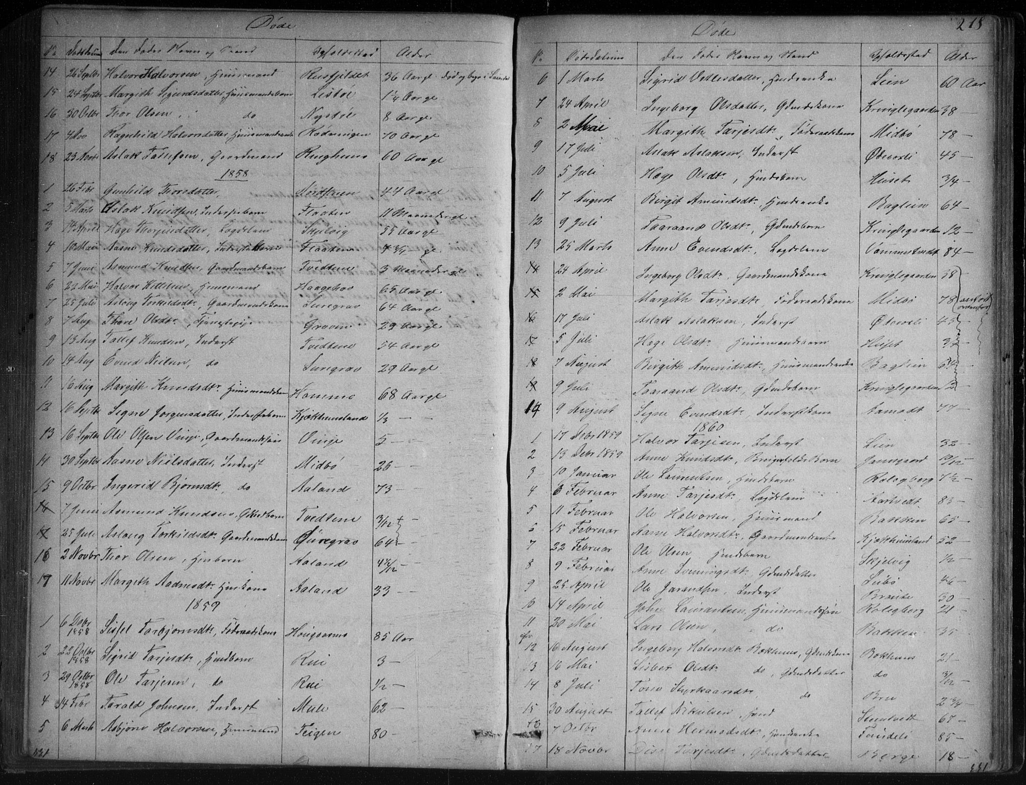 Vinje kirkebøker, SAKO/A-312/G/Ga/L0002: Parish register (copy) no. I 2, 1849-1893, p. 218