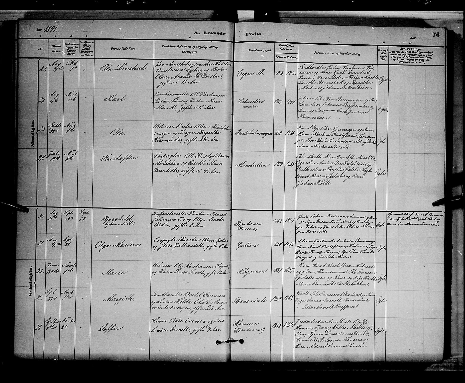 Stange prestekontor, AV/SAH-PREST-002/L/L0008: Parish register (copy) no. 8, 1882-1895, p. 76