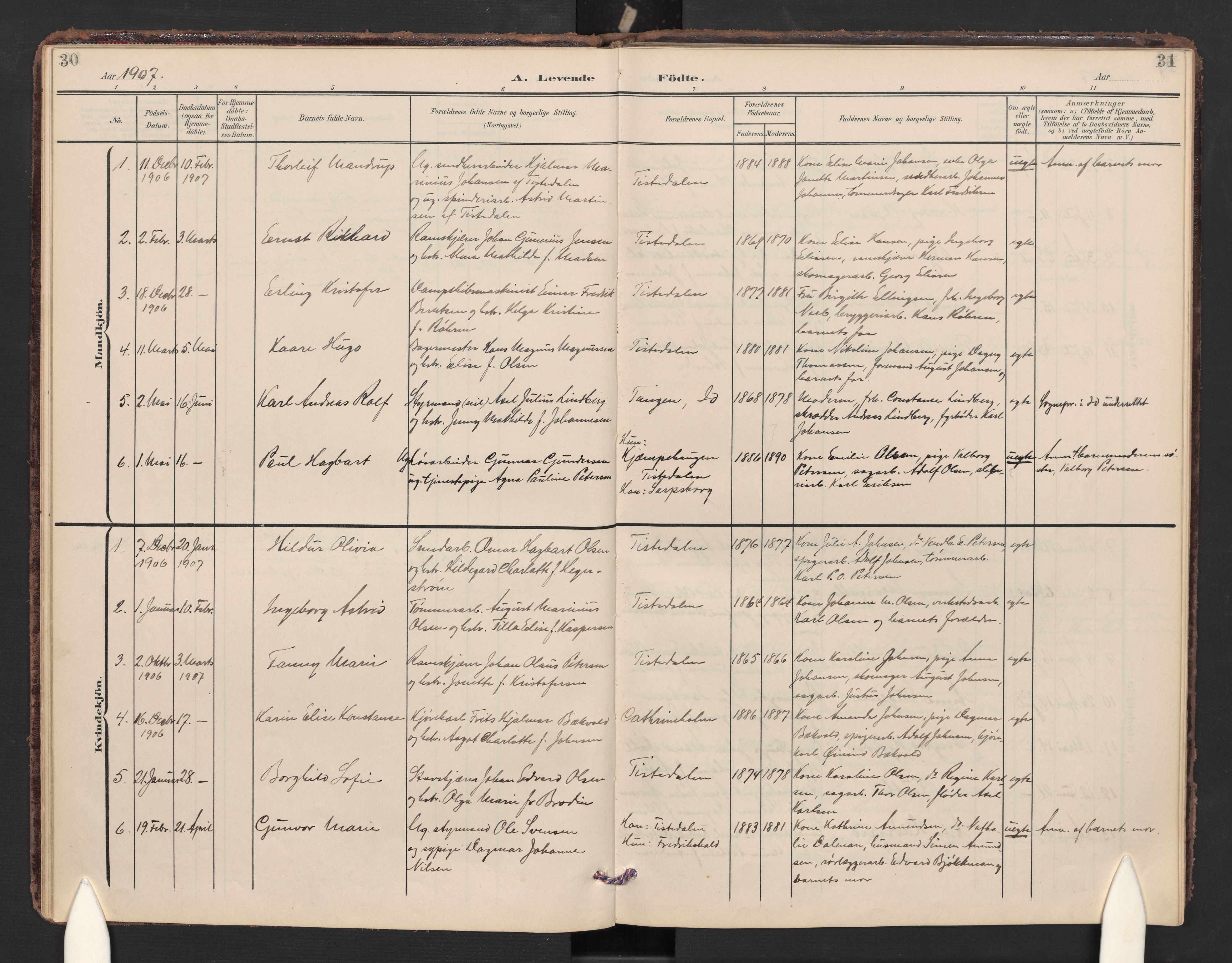 Halden prestekontor Kirkebøker, SAO/A-10909/F/Fc/L0001: Parish register (official) no. III 1, 1902-1908, p. 30-31