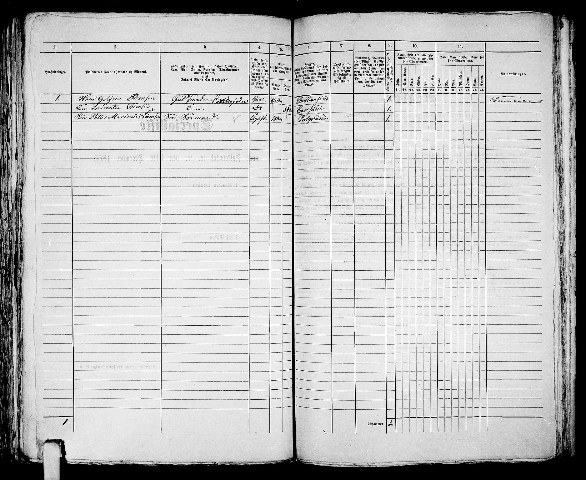 RA, 1865 census for Porsgrunn, 1865, p. 697