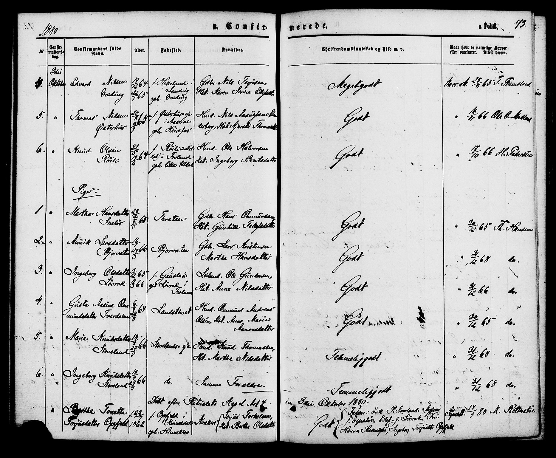 Herefoss sokneprestkontor, AV/SAK-1111-0019/F/Fa/Faa/L0002: Parish register (official) no. A 2, 1861-1886, p. 73