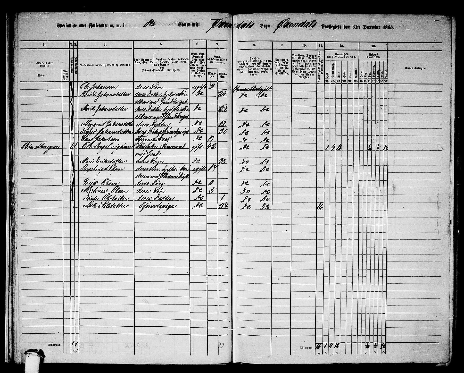 RA, 1865 census for Øksendal, 1865, p. 19