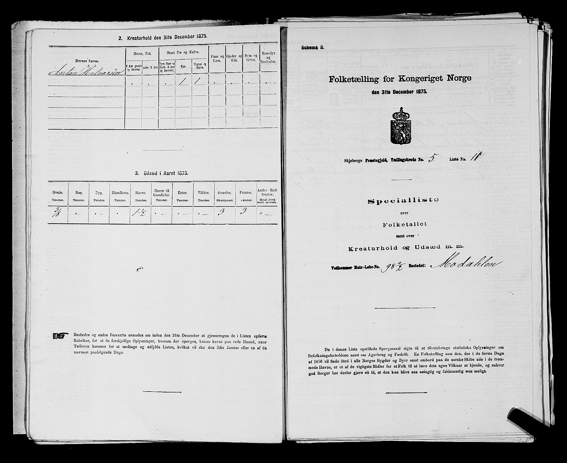 RA, 1875 census for 0115P Skjeberg, 1875, p. 861