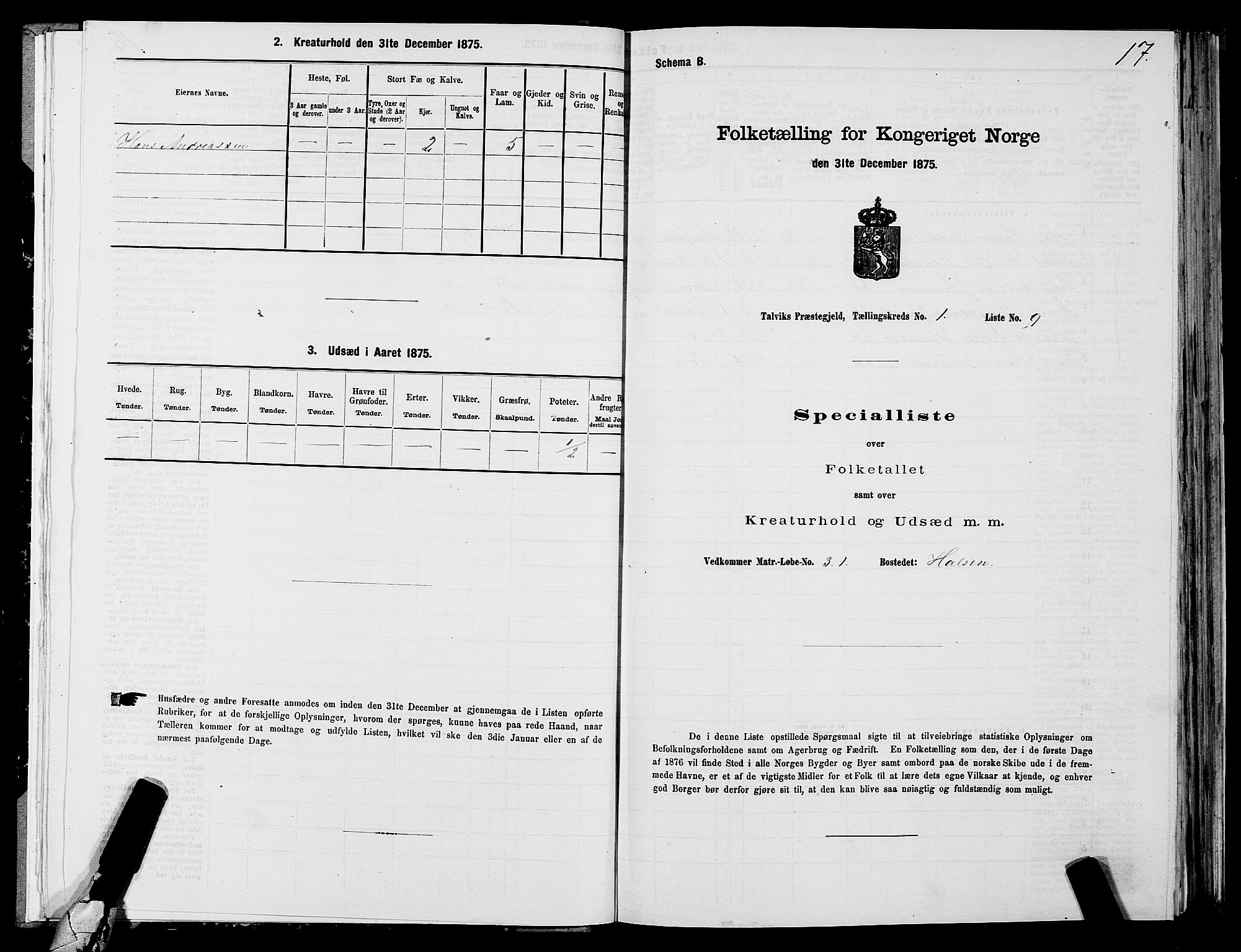 SATØ, 1875 census for 2013P Talvik, 1875, p. 1017