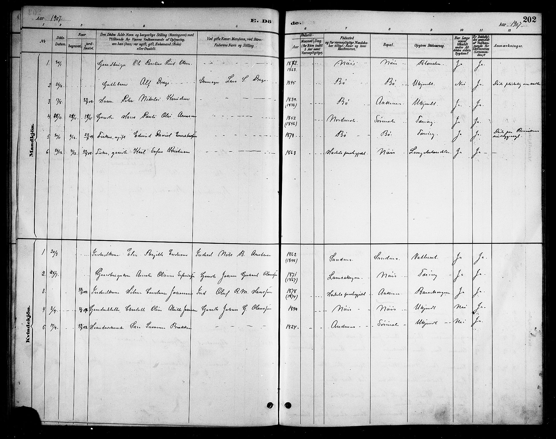 Ministerialprotokoller, klokkerbøker og fødselsregistre - Nordland, AV/SAT-A-1459/898/L1427: Parish register (copy) no. 898C02, 1887-1917, p. 202