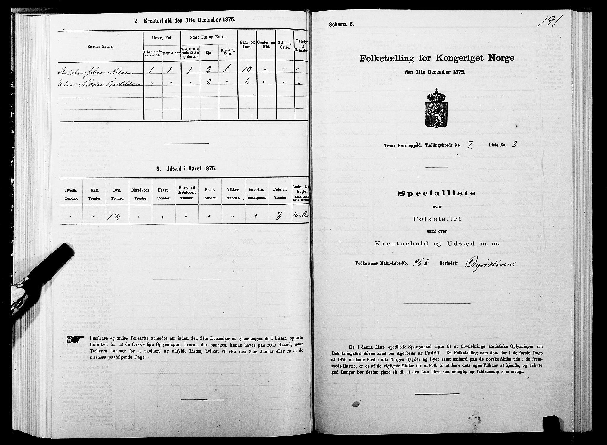 SATØ, 1875 census for 1927P Tranøy, 1875, p. 3191