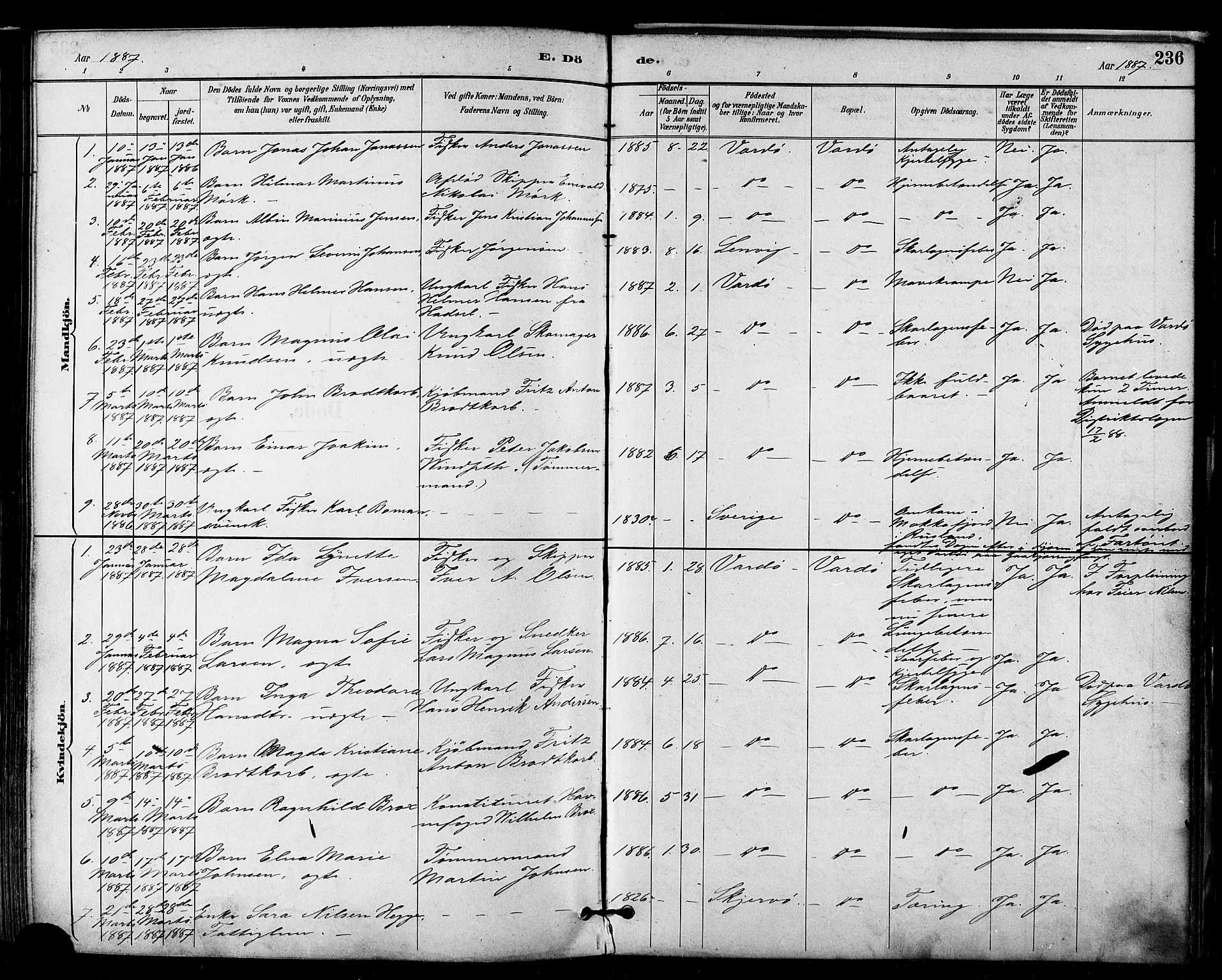 Vardø sokneprestkontor, AV/SATØ-S-1332/H/Ha/L0007kirke: Parish register (official) no. 7, 1886-1897, p. 236