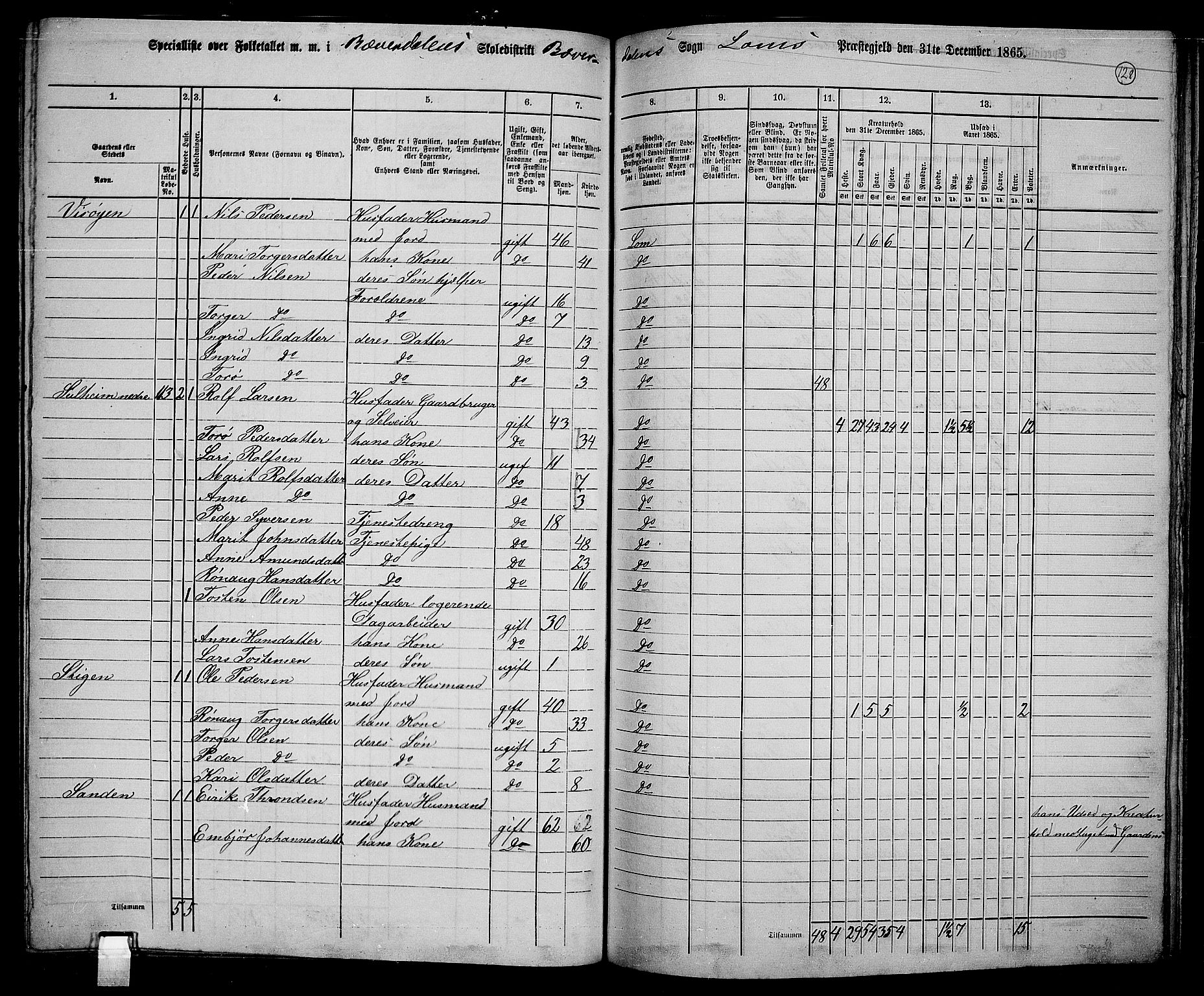 RA, 1865 census for Lom, 1865, p. 120