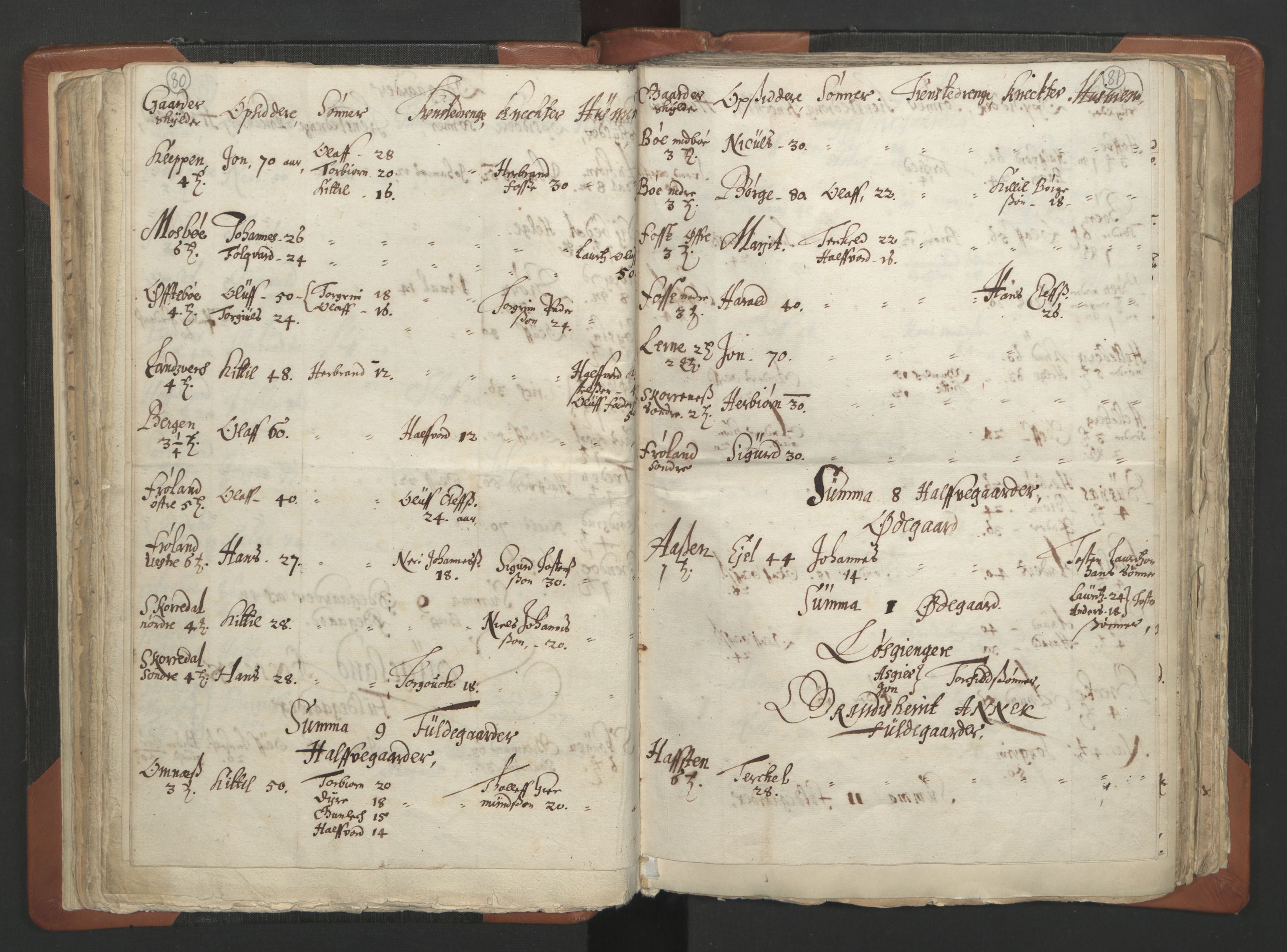 RA, Vicar's Census 1664-1666, no. 12: Øvre Telemark deanery, Nedre Telemark deanery and Bamble deanery, 1664-1666, p. 80-81