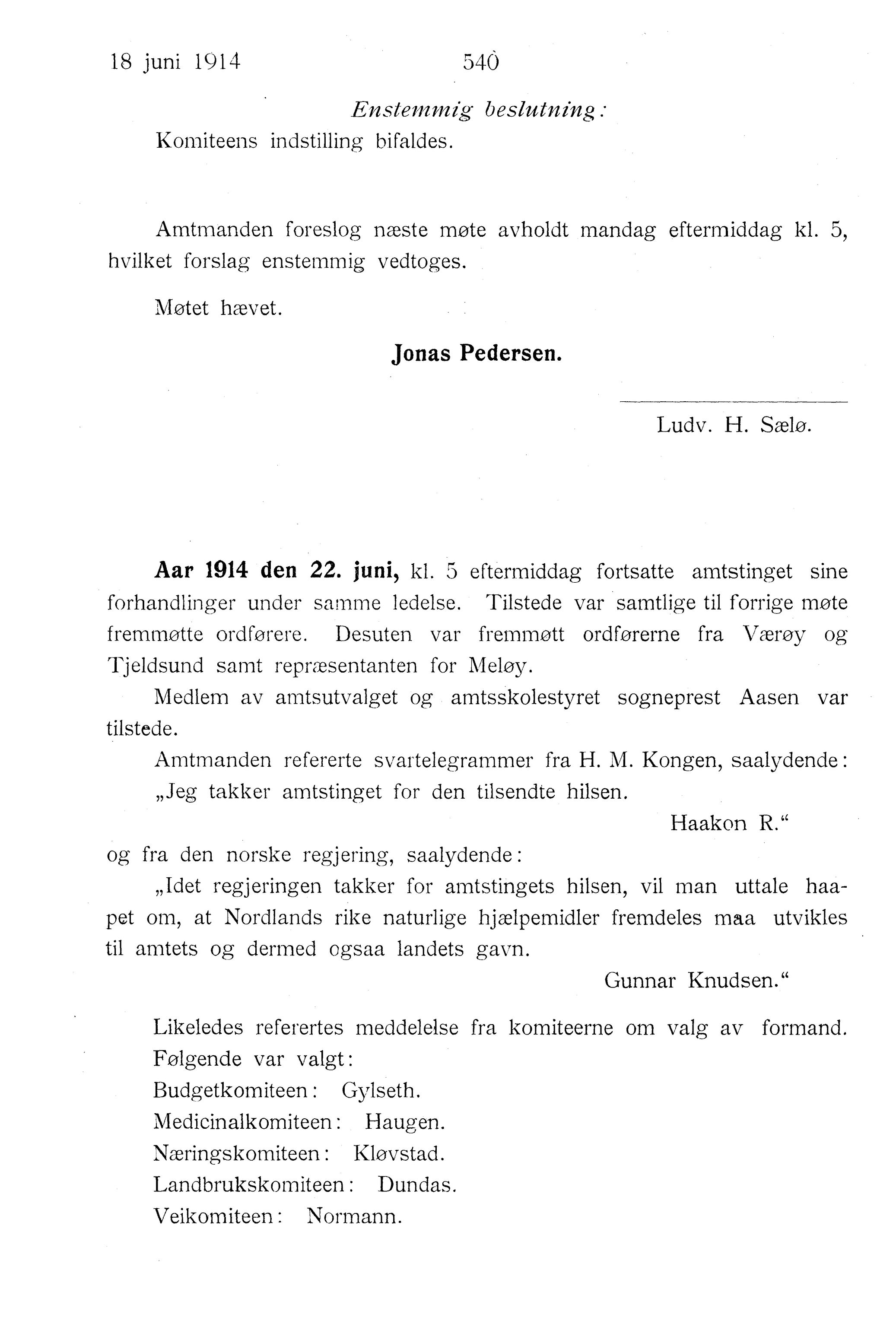 Nordland Fylkeskommune. Fylkestinget, AIN/NFK-17/176/A/Ac/L0037: Fylkestingsforhandlinger 1914, 1914, p. 540