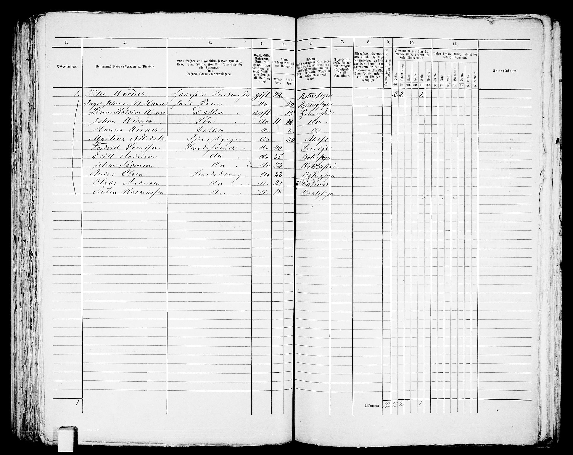 RA, 1865 census for Botne/Holmestrand, 1865, p. 226