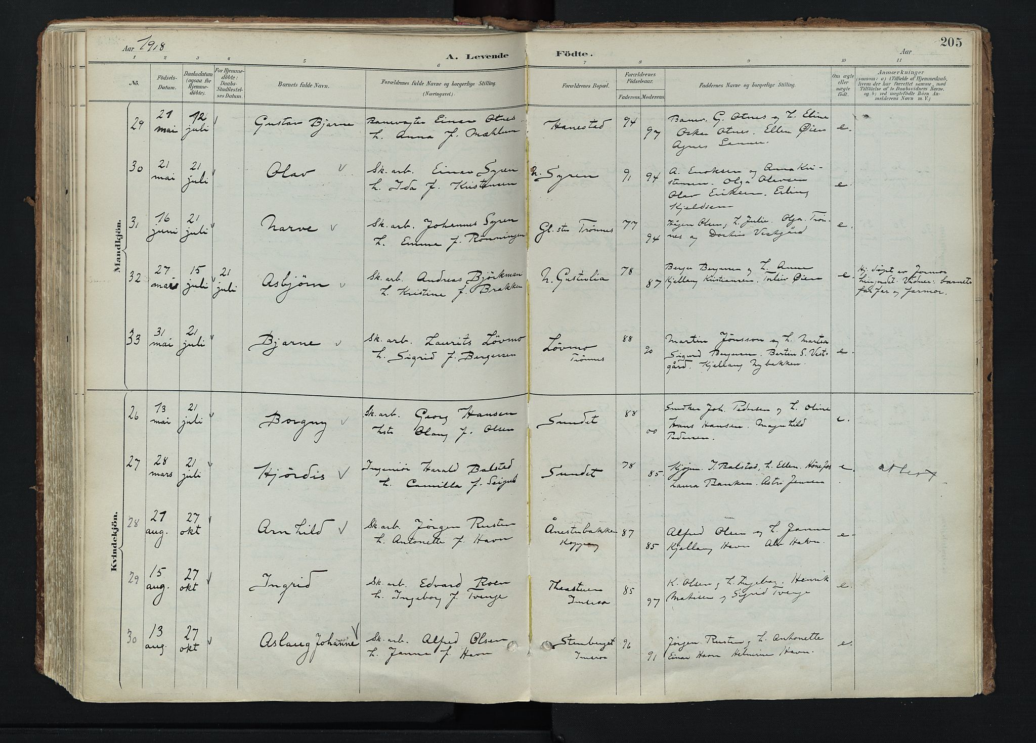 Stor-Elvdal prestekontor, AV/SAH-PREST-052/H/Ha/Haa/L0004: Parish register (official) no. 4, 1890-1922, p. 205