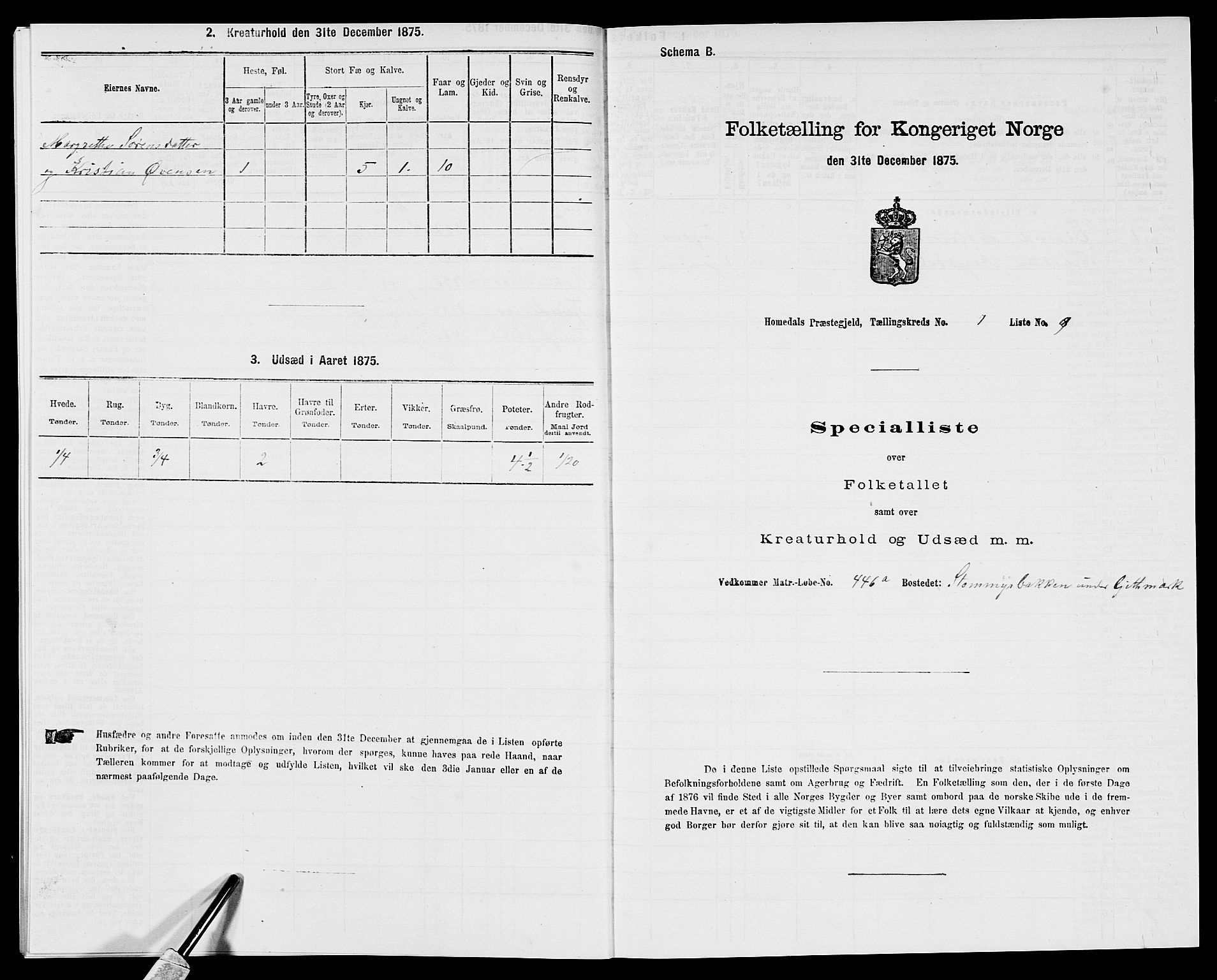 SAK, 1875 census for 0924P Homedal, 1875, p. 33