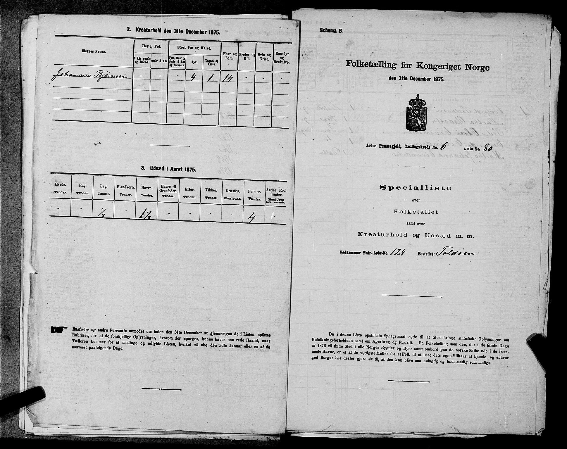 SAST, 1875 census for 1138P Jelsa, 1875, p. 575