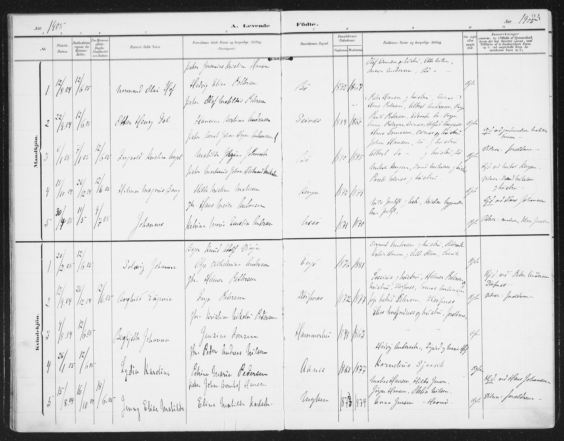 Ministerialprotokoller, klokkerbøker og fødselsregistre - Nordland, AV/SAT-A-1459/841/L0612: Parish register (official) no. 841A15, 1902-1910, p. 24