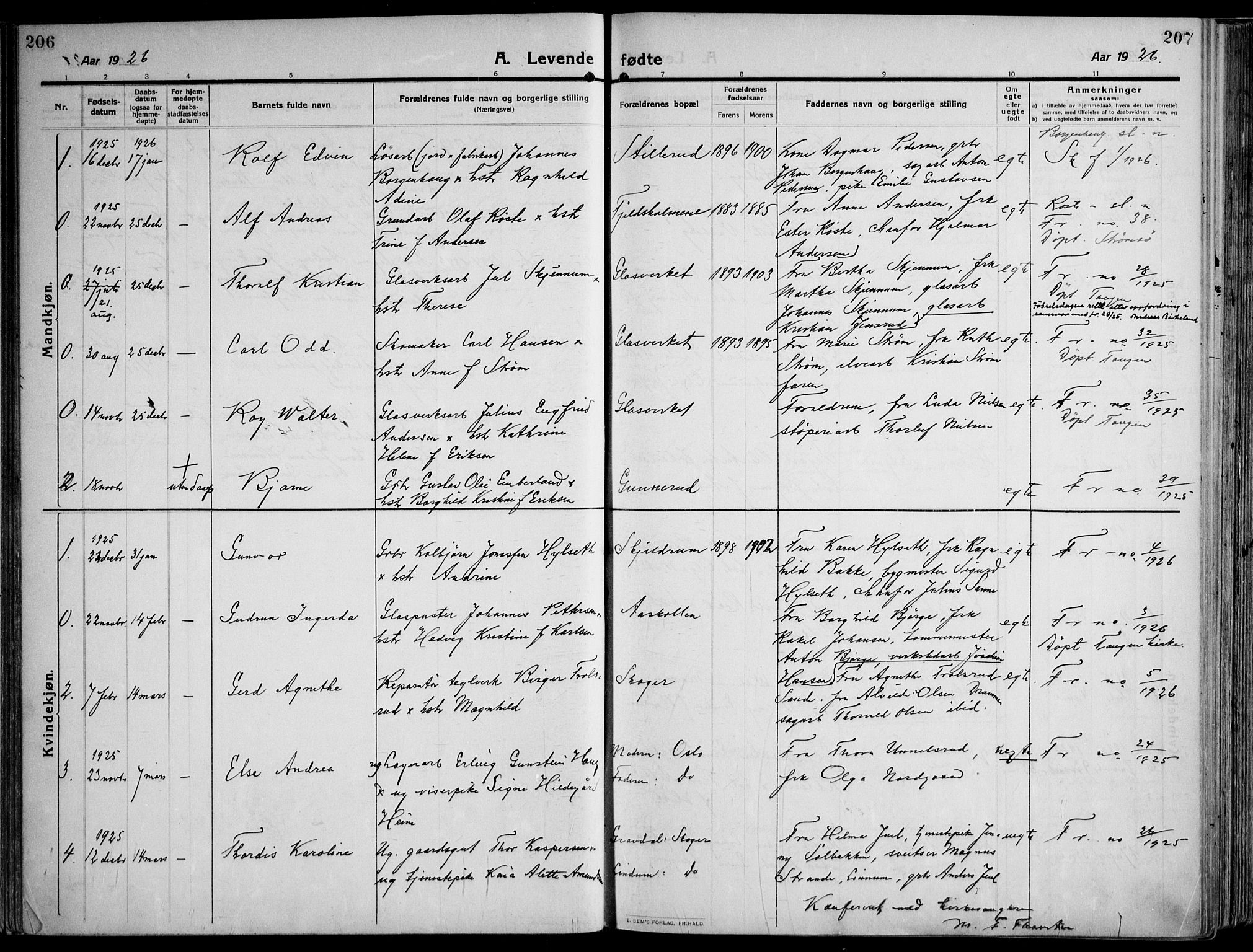 Skoger kirkebøker, AV/SAKO-A-59/F/Fa/L0007: Parish register (official) no. I 7, 1911-1936, p. 206-207