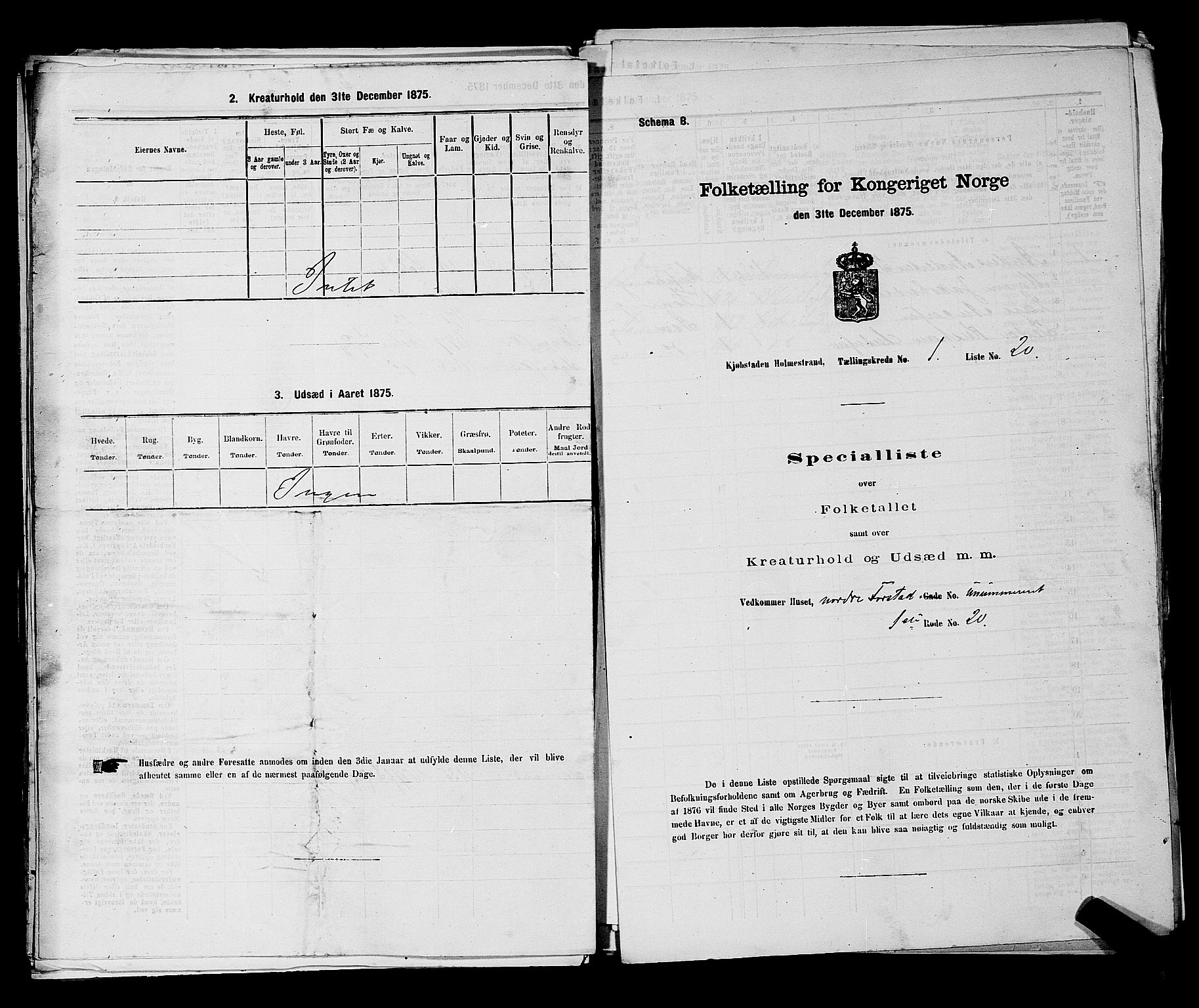 SAKO, 1875 census for 0702P Holmestrand, 1875, p. 107