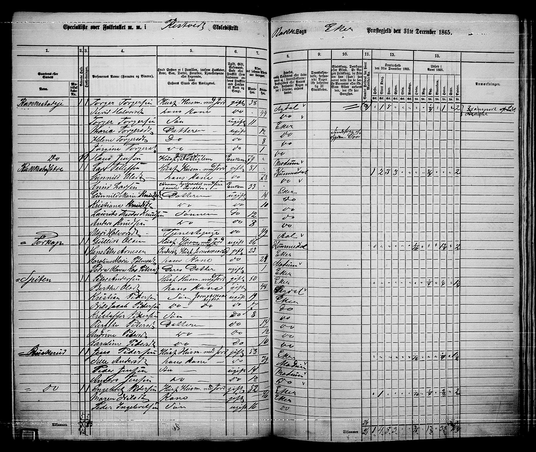 RA, 1865 census for Eiker, 1865, p. 416