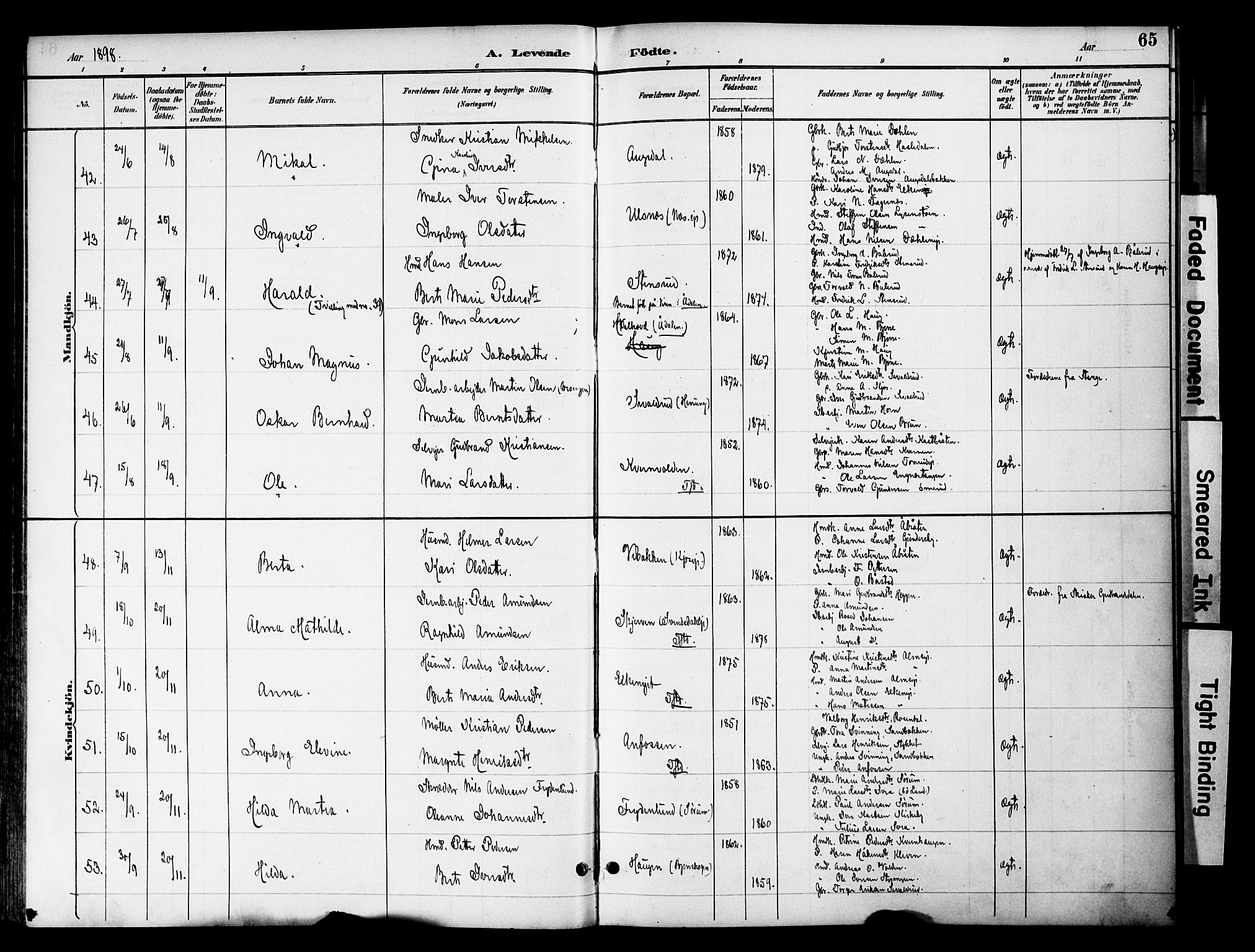 Gran prestekontor, AV/SAH-PREST-112/H/Ha/Haa/L0020: Parish register (official) no. 20, 1889-1899, p. 65