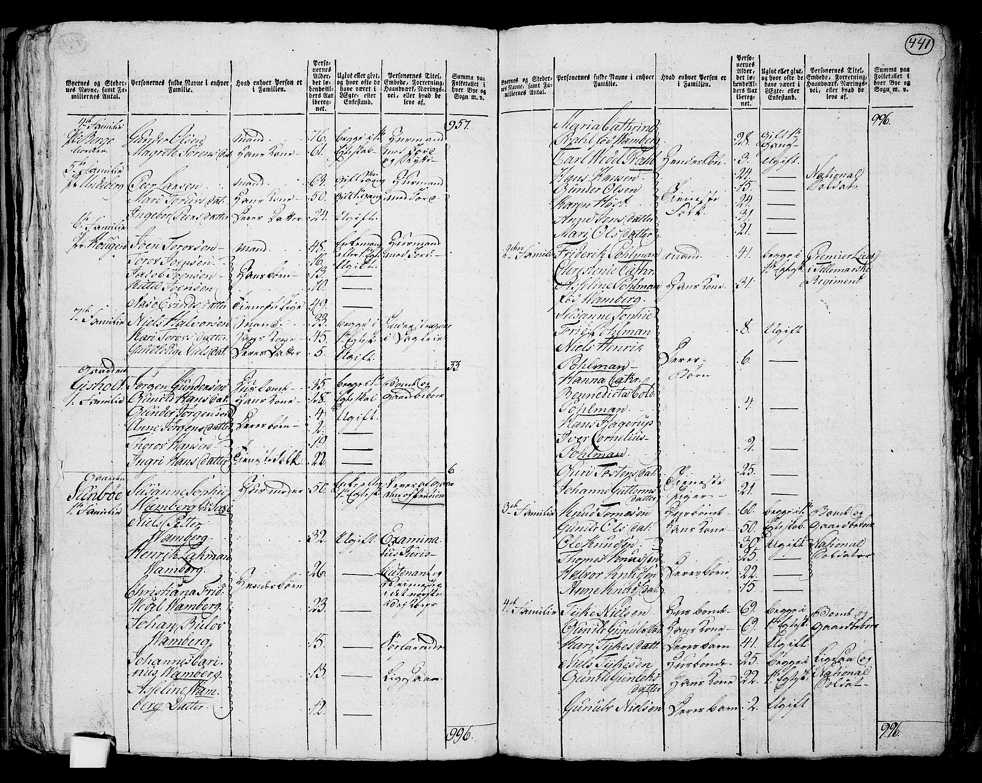 RA, 1801 census for 0829P Kviteseid, 1801, p. 440b-441a
