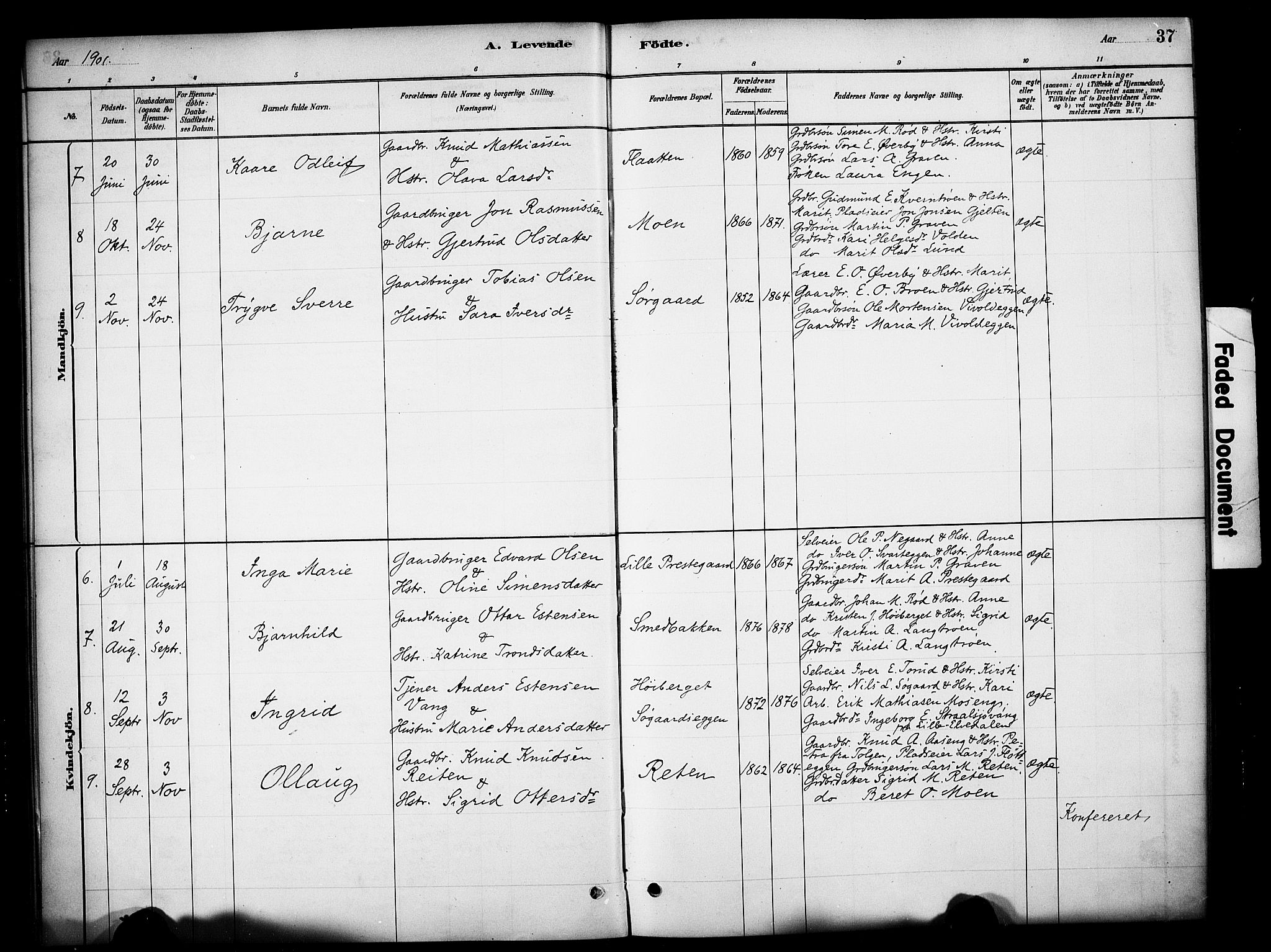 Tynset prestekontor, SAH/PREST-058/H/Ha/Haa/L0023: Parish register (official) no. 23, 1880-1901, p. 37