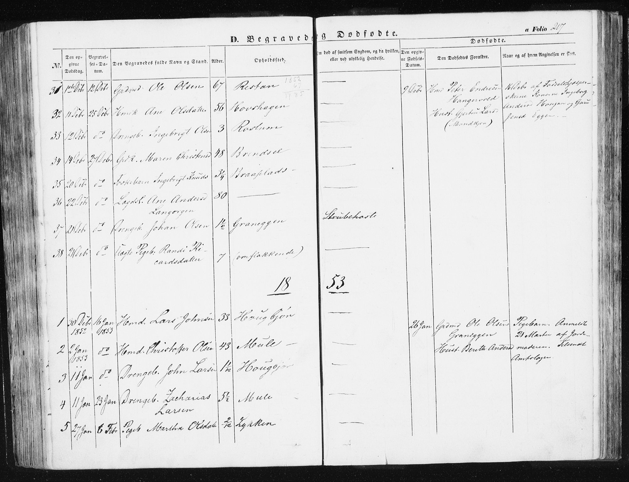 Ministerialprotokoller, klokkerbøker og fødselsregistre - Sør-Trøndelag, SAT/A-1456/612/L0376: Parish register (official) no. 612A08, 1846-1859, p. 217