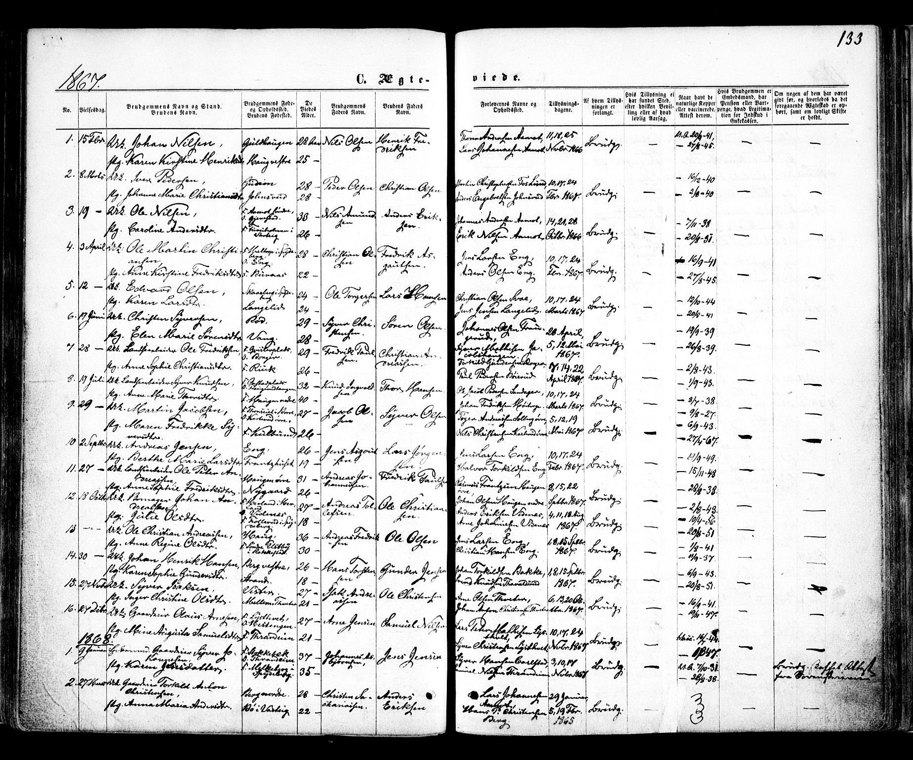 Skiptvet prestekontor Kirkebøker, AV/SAO-A-20009/F/Fa/L0008: Parish register (official) no. 8, 1867-1877, p. 133