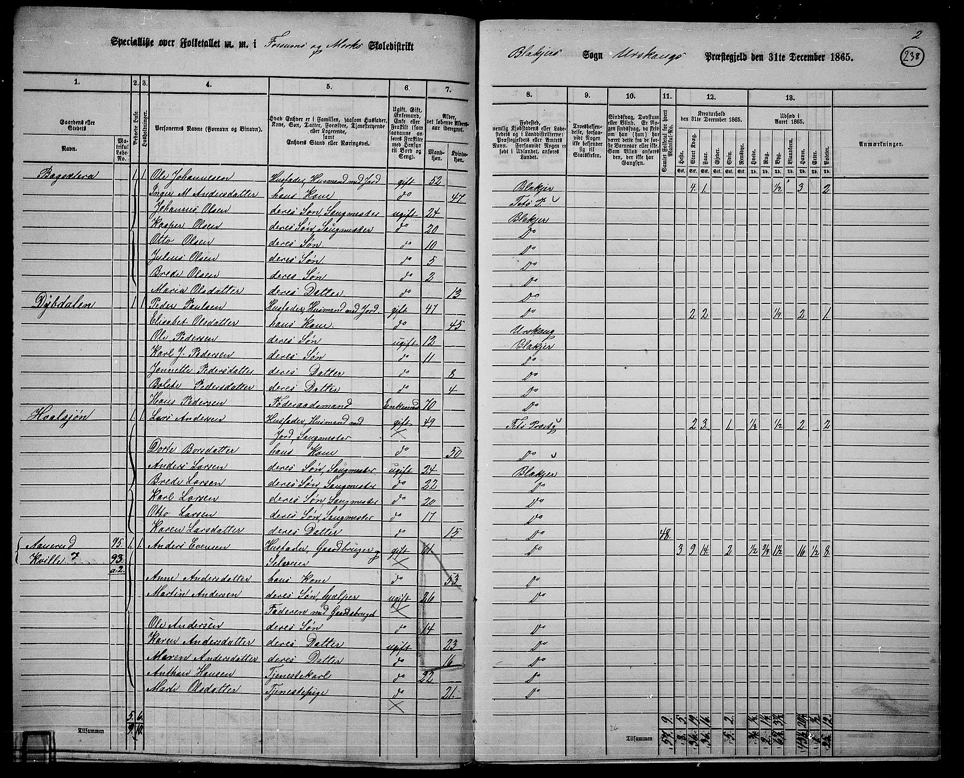 RA, 1865 census for Aurskog, 1865, p. 216