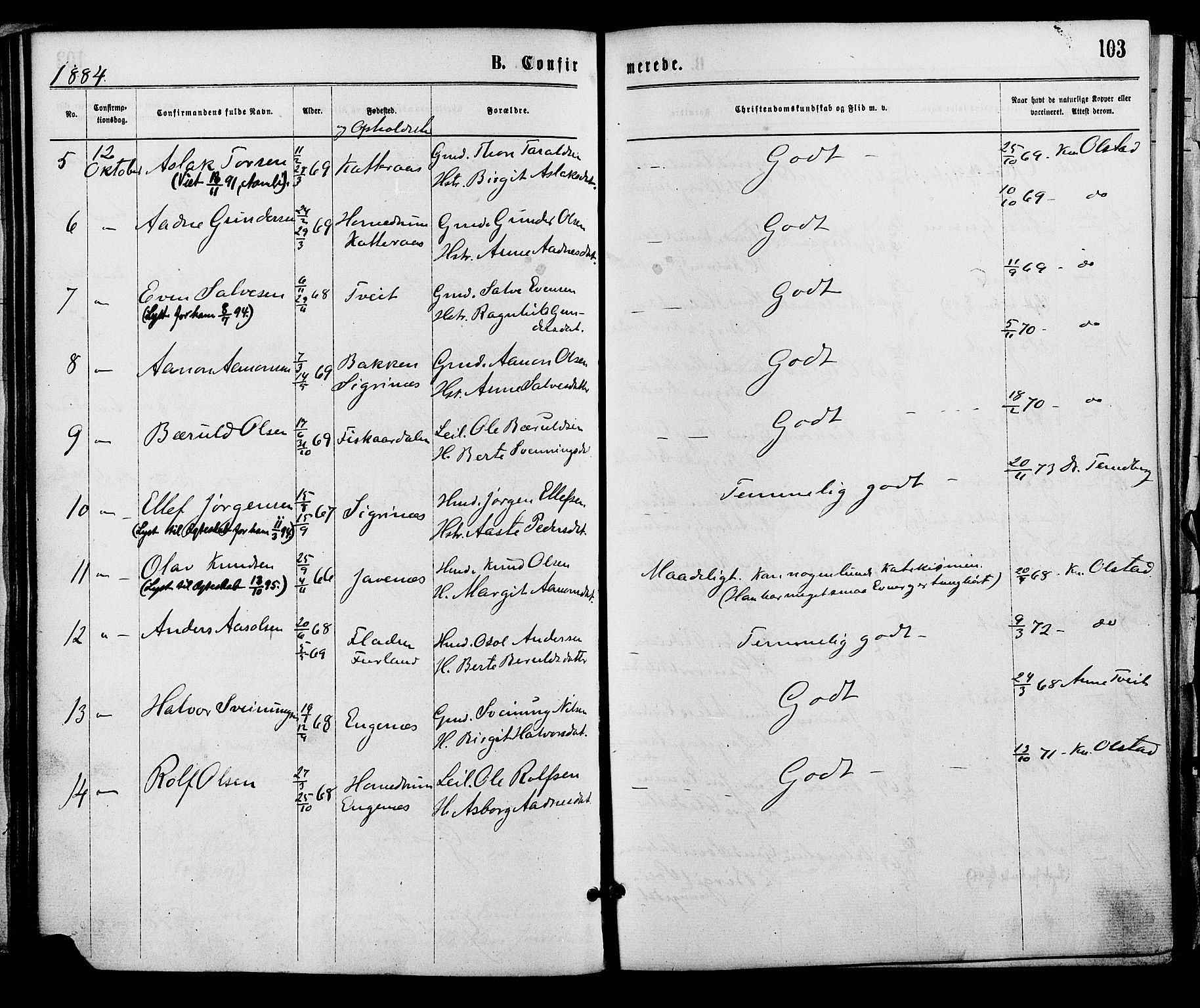 Åmli sokneprestkontor, AV/SAK-1111-0050/F/Fa/Fac/L0009: Parish register (official) no. A 9 /1, 1869-1884, p. 103