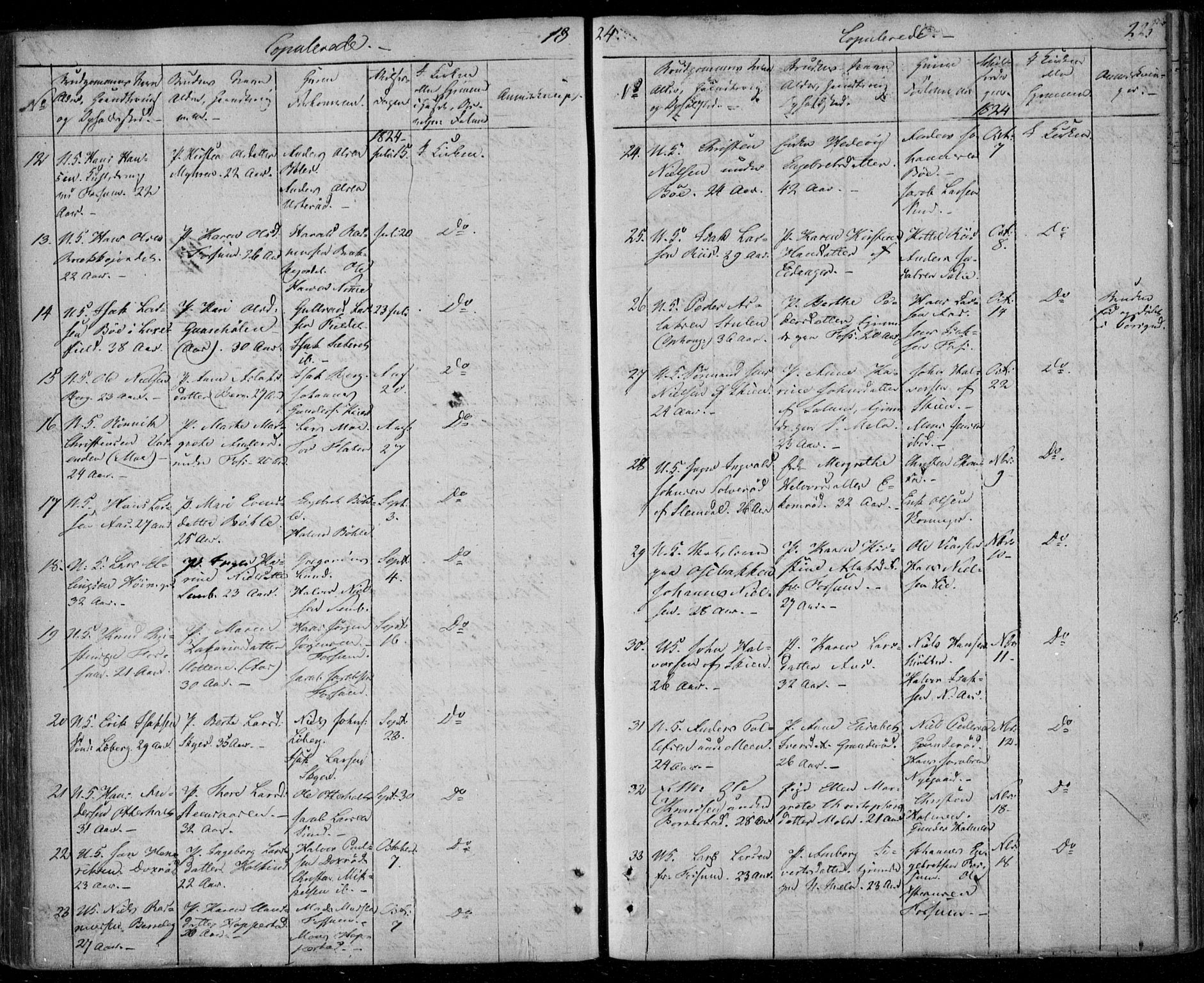 Gjerpen kirkebøker, SAKO/A-265/F/Fa/L0005: Parish register (official) no. I 5, 1823-1829, p. 225