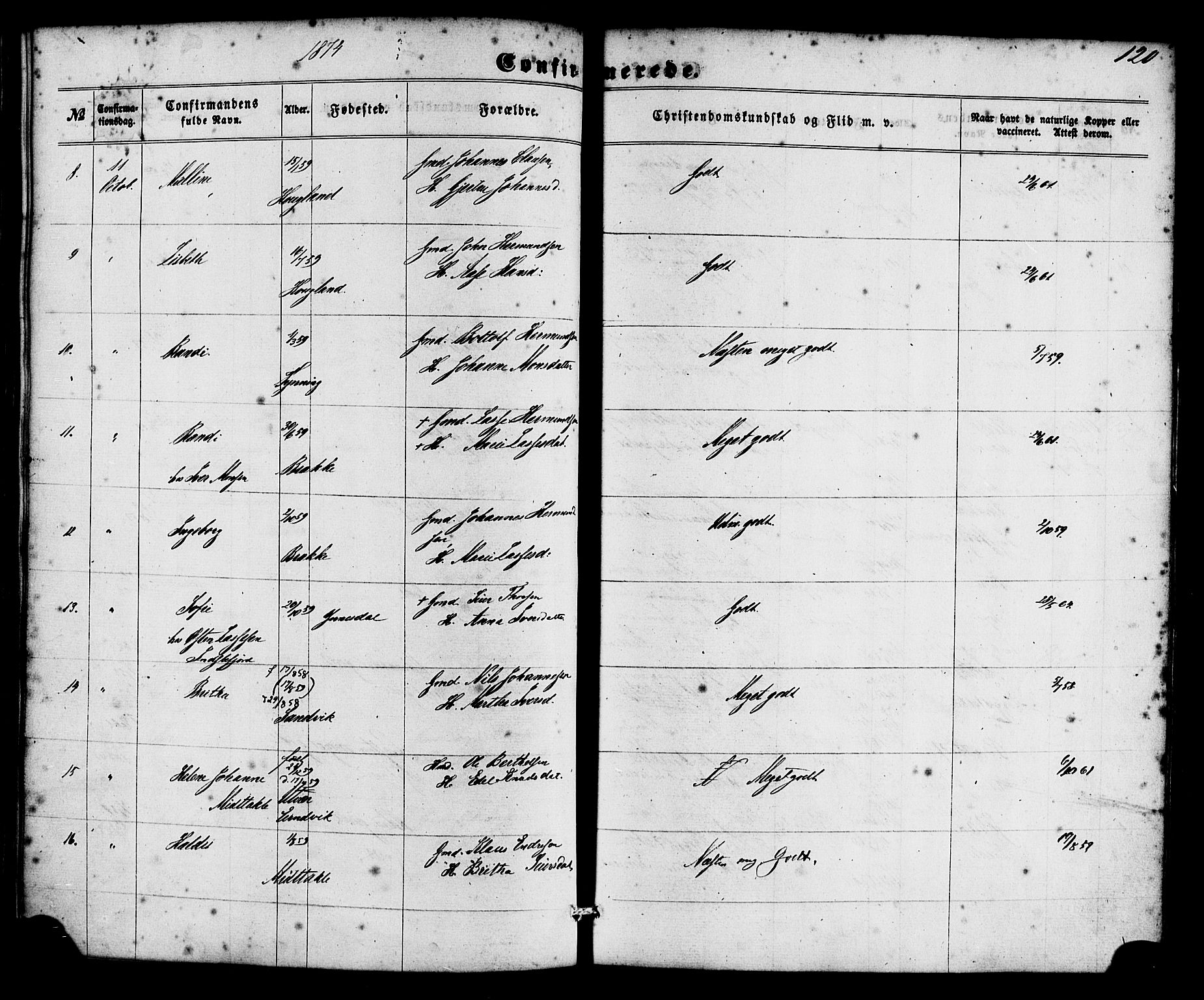 Gulen sokneprestembete, AV/SAB-A-80201/H/Haa/Haac/L0001: Parish register (official) no. C 1, 1859-1881, p. 120