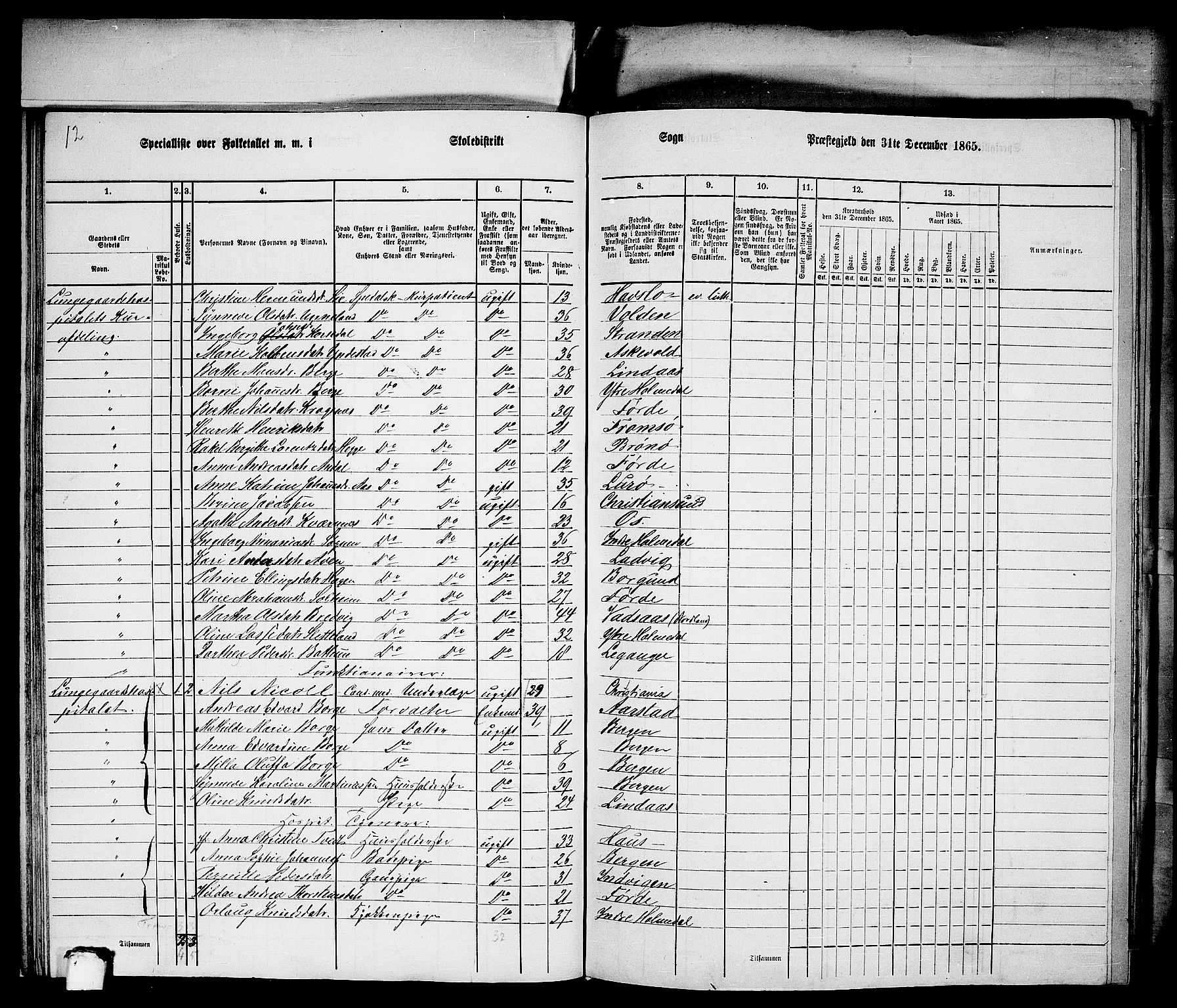 RA, 1865 census for Bergen Landdistrikt/Domkirken og Korskirken, 1865, p. 29