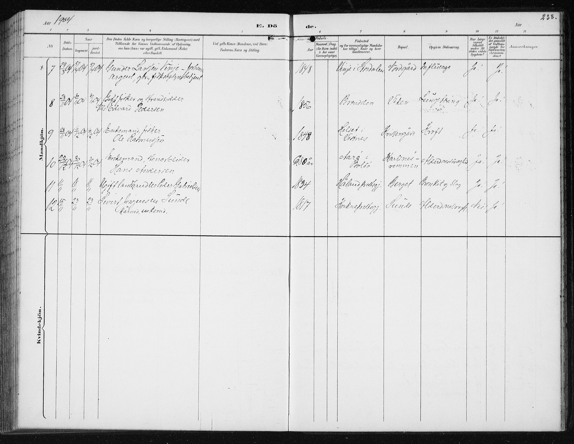 Ministerialprotokoller, klokkerbøker og fødselsregistre - Møre og Romsdal, AV/SAT-A-1454/566/L0773: Parish register (copy) no. 566C02, 1892-1909, p. 238