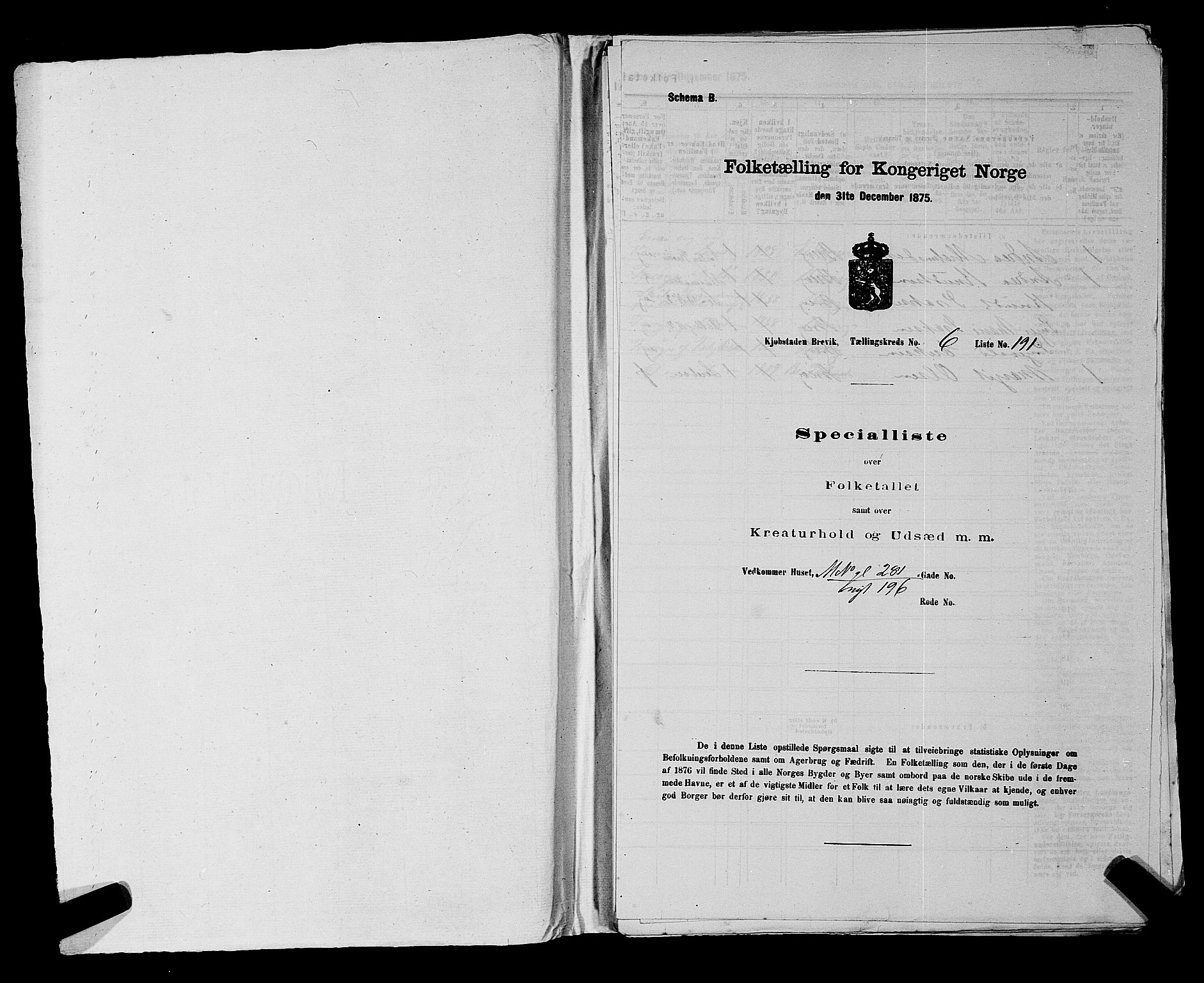 SAKO, 1875 census for 0804P Brevik, 1875, p. 365