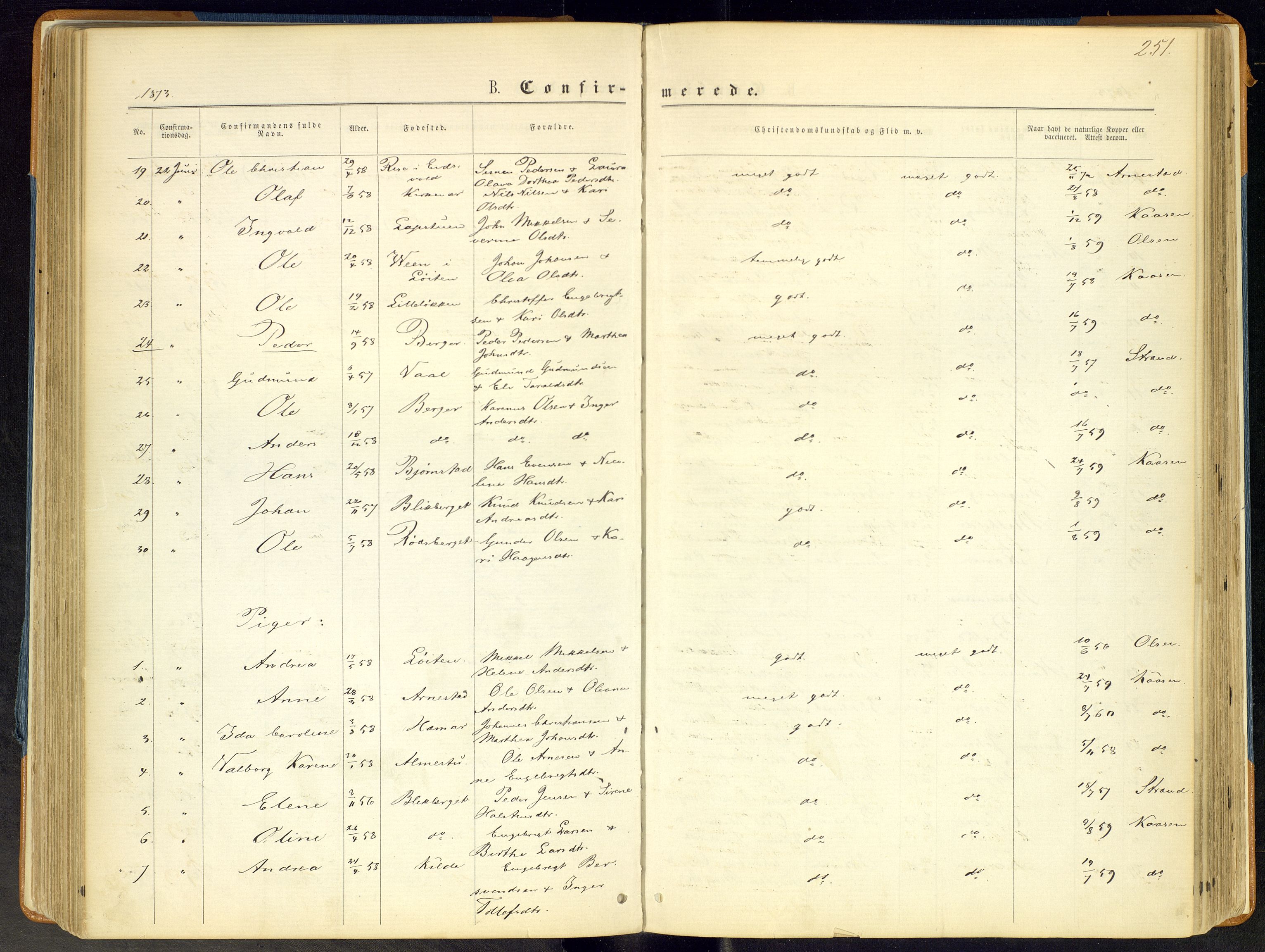 Åmot prestekontor, Hedmark, AV/SAH-PREST-056/H/Ha/Haa/L0008: Parish register (official) no. 8, 1862-1875, p. 251