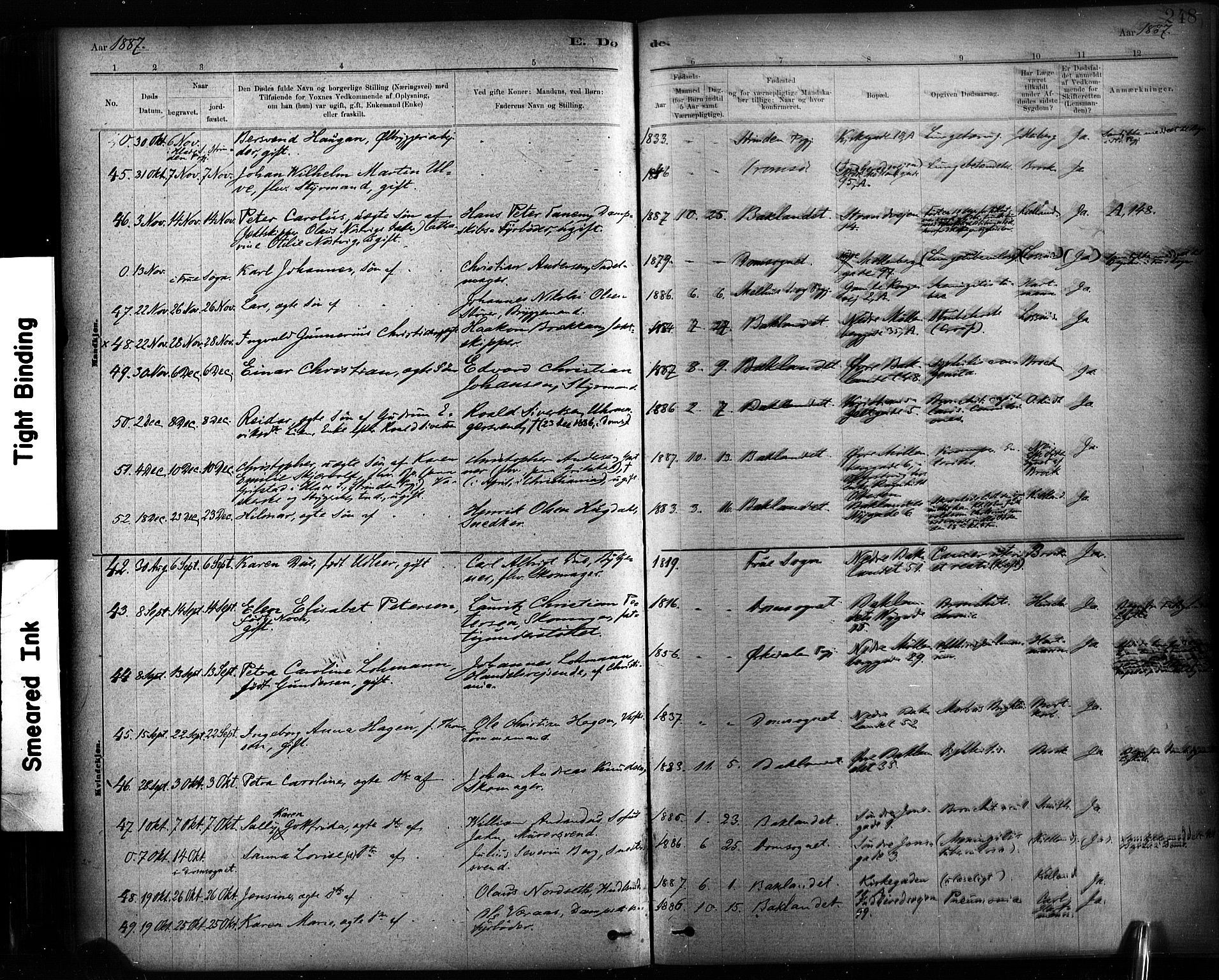 Ministerialprotokoller, klokkerbøker og fødselsregistre - Sør-Trøndelag, AV/SAT-A-1456/604/L0189: Parish register (official) no. 604A10, 1878-1892, p. 248