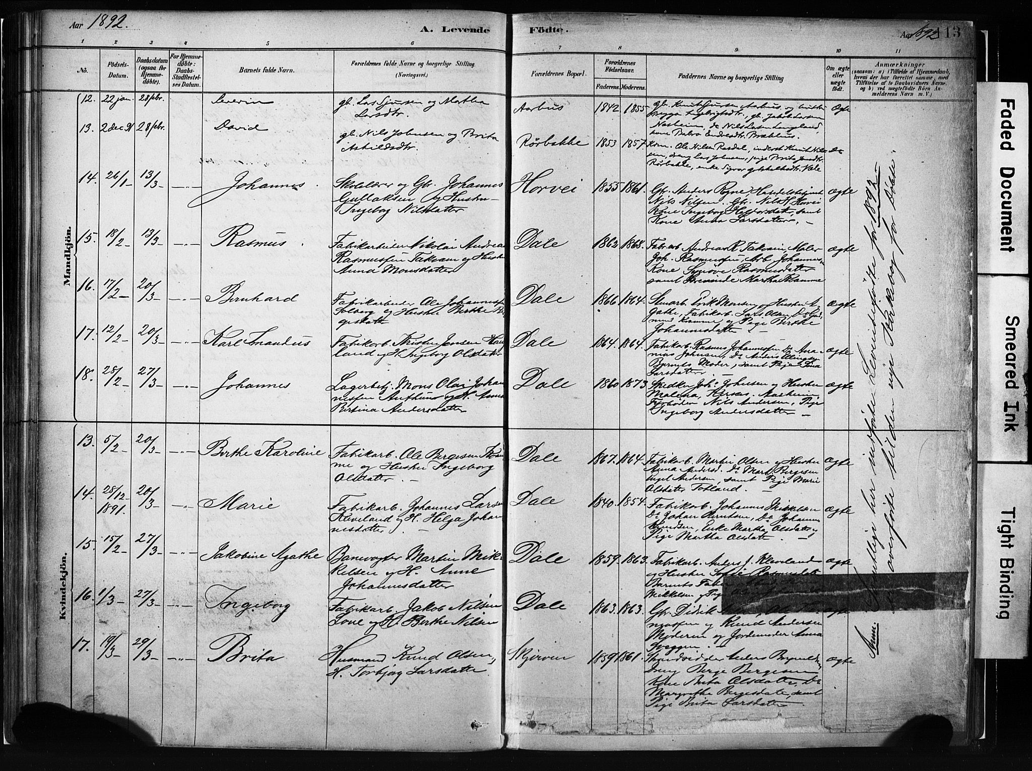 Evanger sokneprestembete, AV/SAB-A-99924: Parish register (official) no. A 1, 1877-1899, p. 113