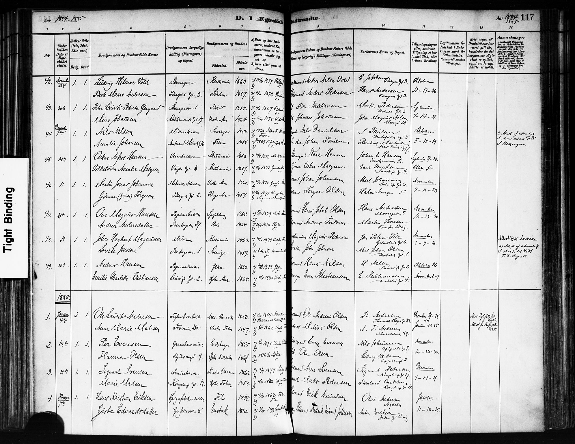 Sagene prestekontor Kirkebøker, SAO/A-10796/F/L0002: Parish register (official) no. 2, 1880-1897, p. 117