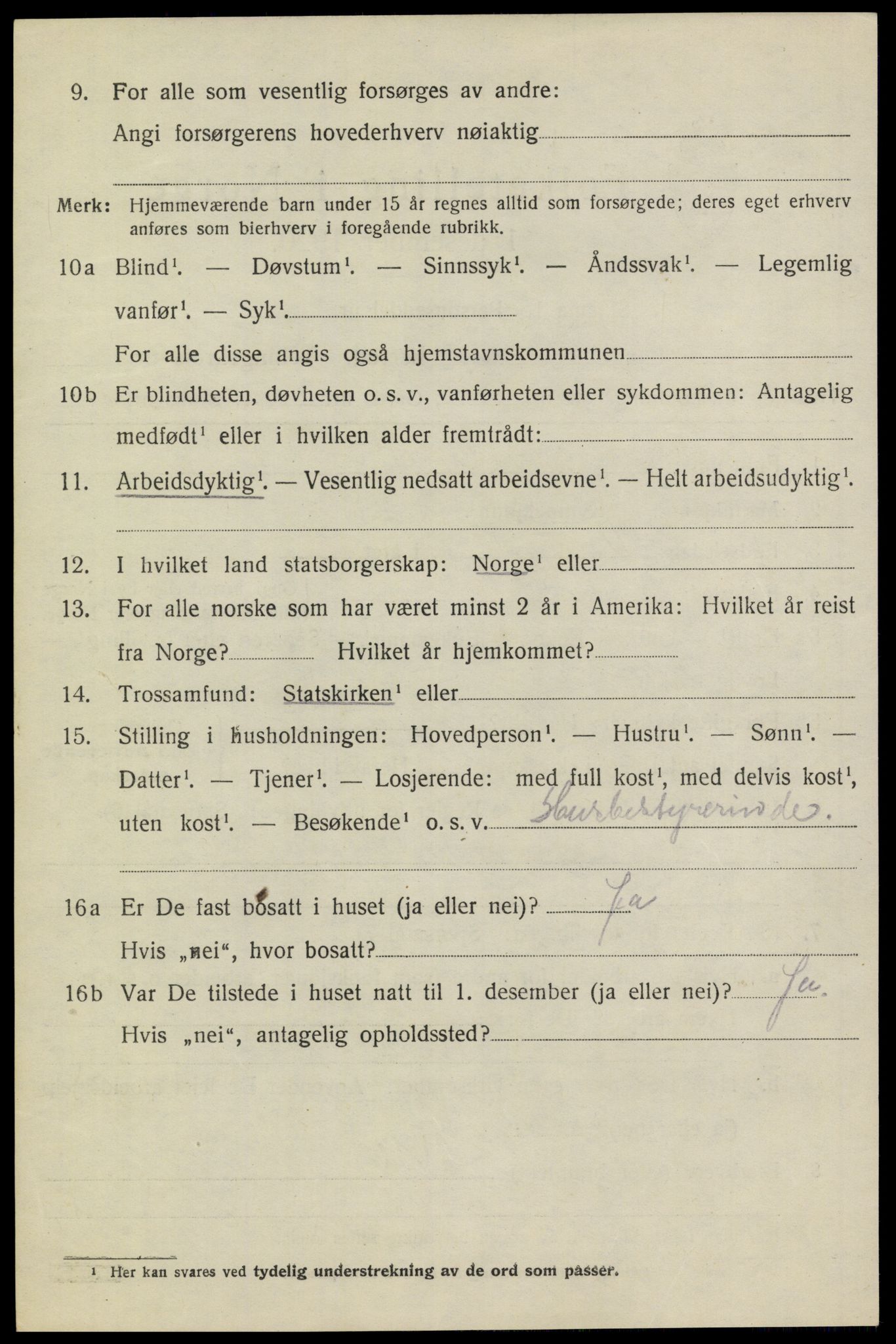 SAKO, 1920 census for Heddal, 1920, p. 6009