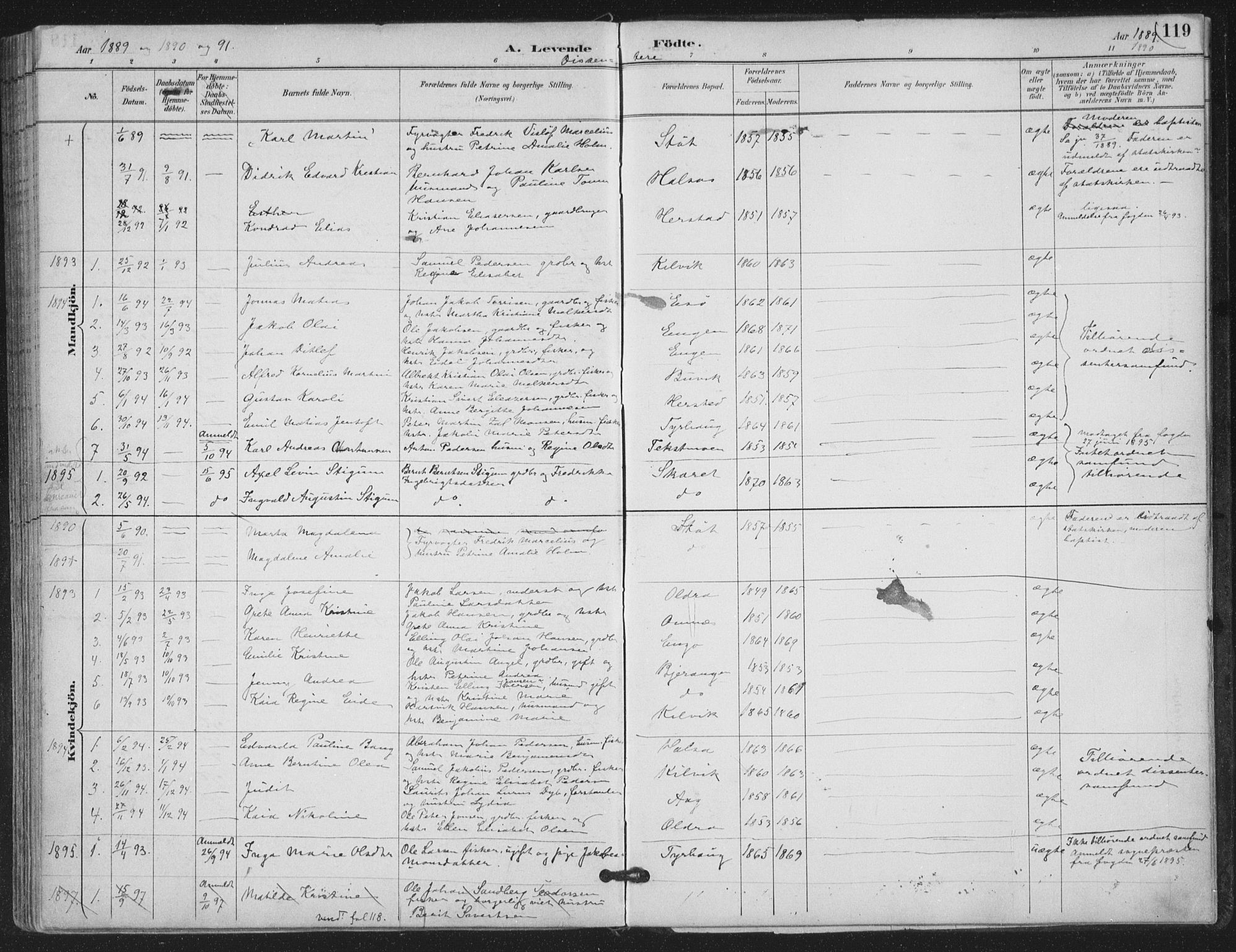 Ministerialprotokoller, klokkerbøker og fødselsregistre - Nordland, SAT/A-1459/843/L0628: Parish register (official) no. 843A03, 1889-1907, p. 119