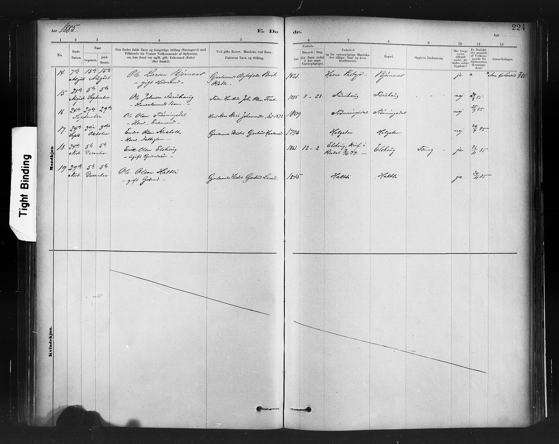 Ministerialprotokoller, klokkerbøker og fødselsregistre - Møre og Romsdal, AV/SAT-A-1454/598/L1069: Parish register (official) no. 598A03, 1882-1895, p. 224