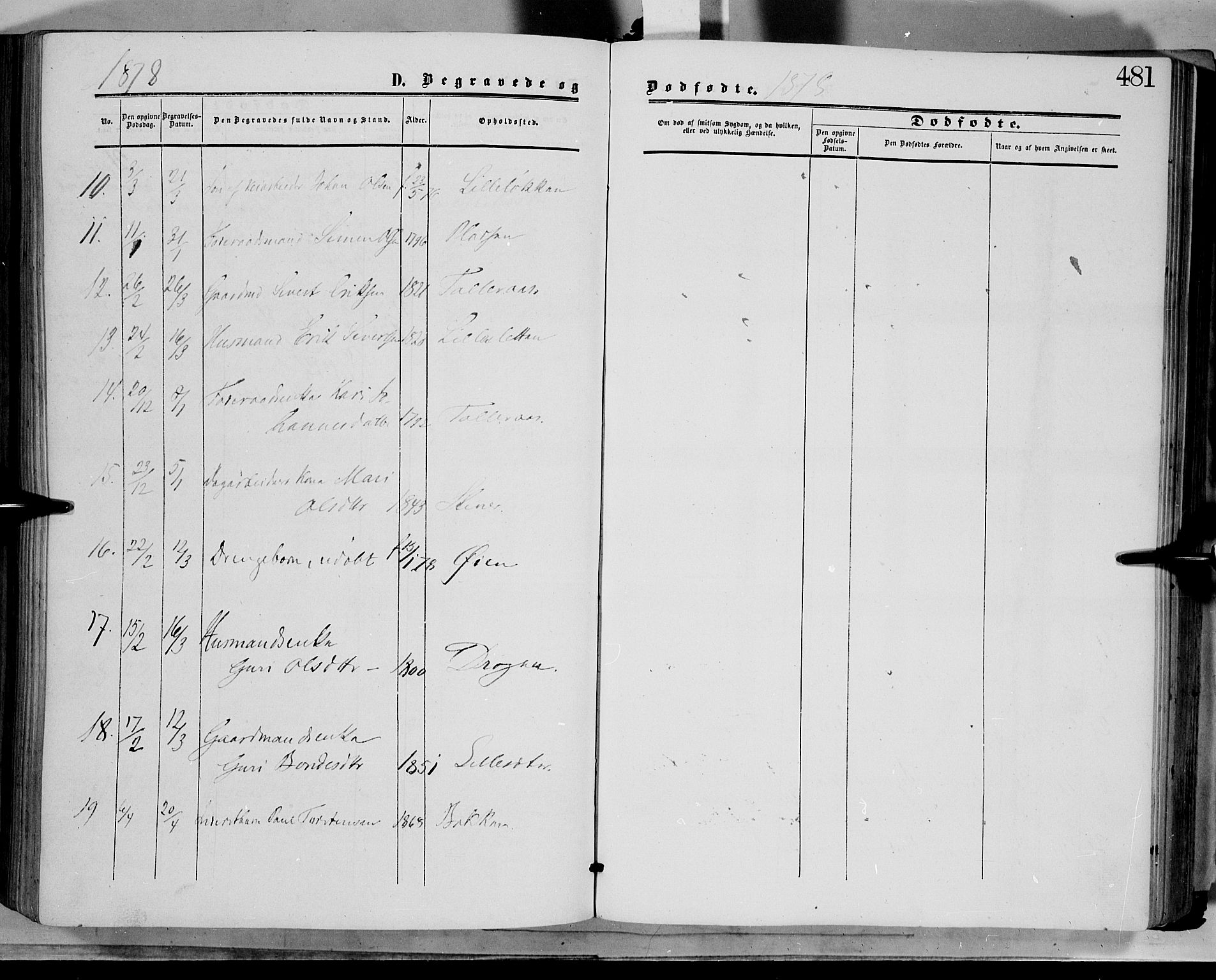 Dovre prestekontor, AV/SAH-PREST-066/H/Ha/Haa/L0001: Parish register (official) no. 1, 1854-1878, p. 481