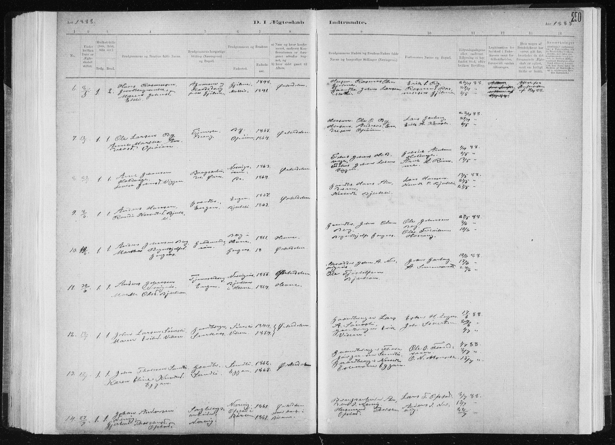 Ministerialprotokoller, klokkerbøker og fødselsregistre - Sør-Trøndelag, SAT/A-1456/668/L0818: Parish register (copy) no. 668C07, 1885-1898, p. 250